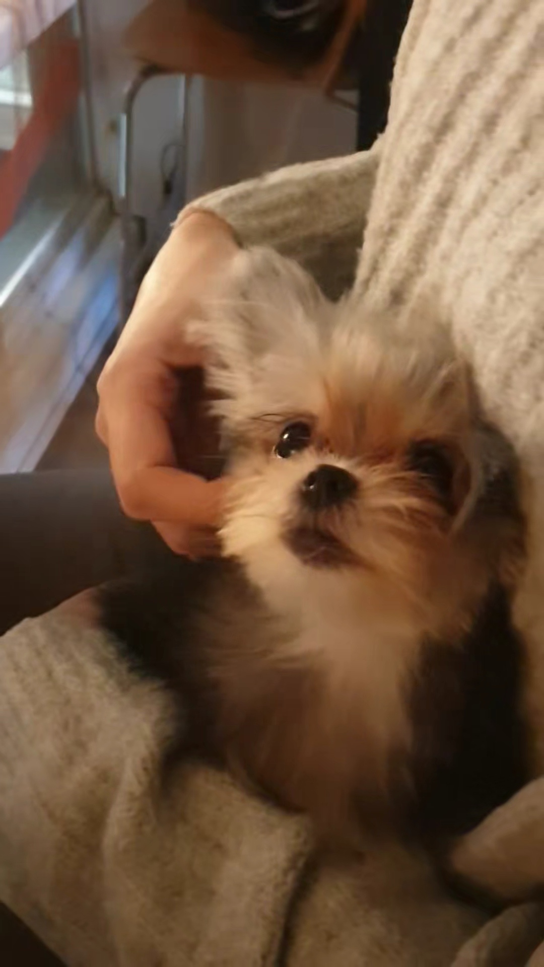 자반(소삼)이 함께한 지 3개월차 후기 ❤️