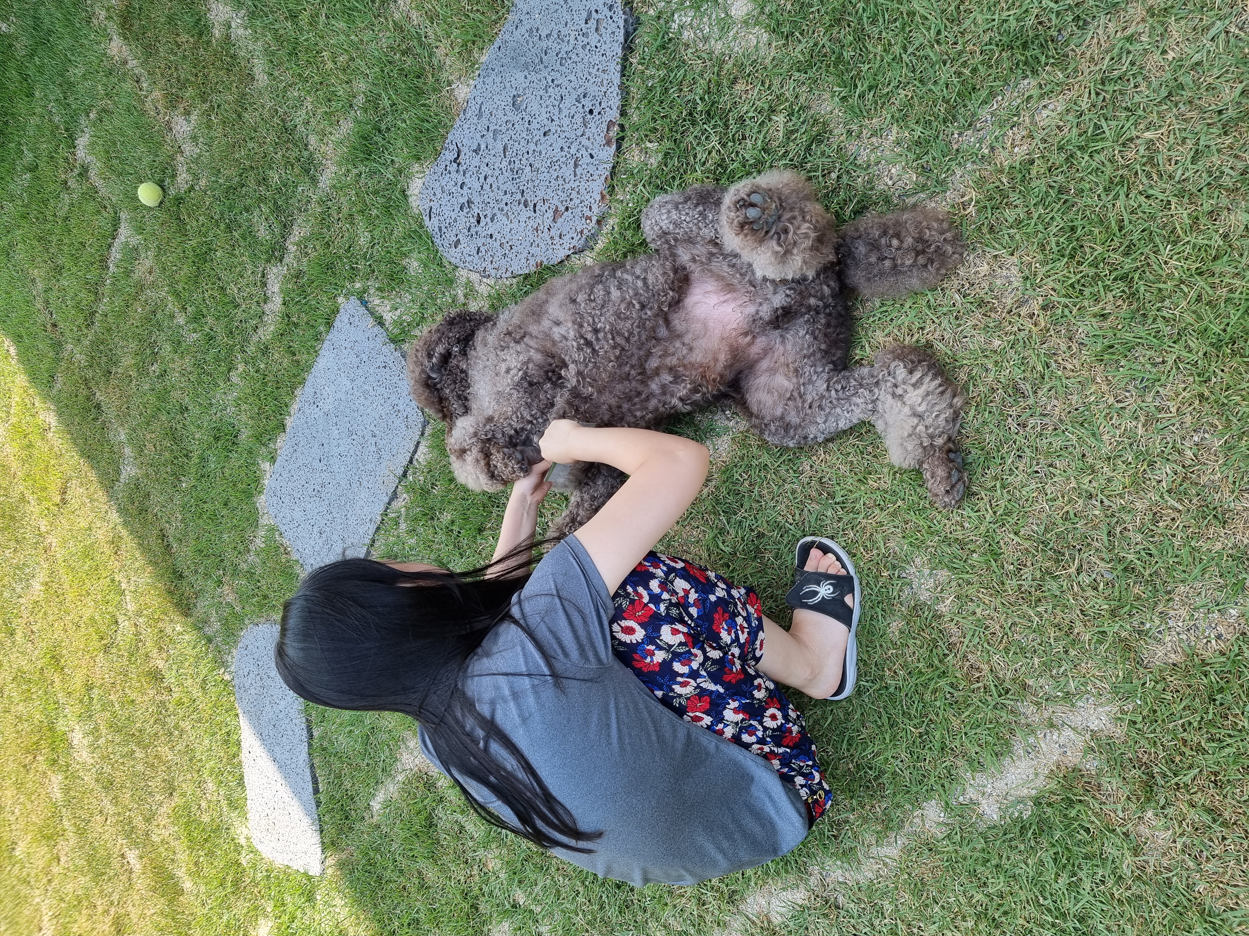 테라 입양 1년 후기(우리에게 온 귀한 선물)