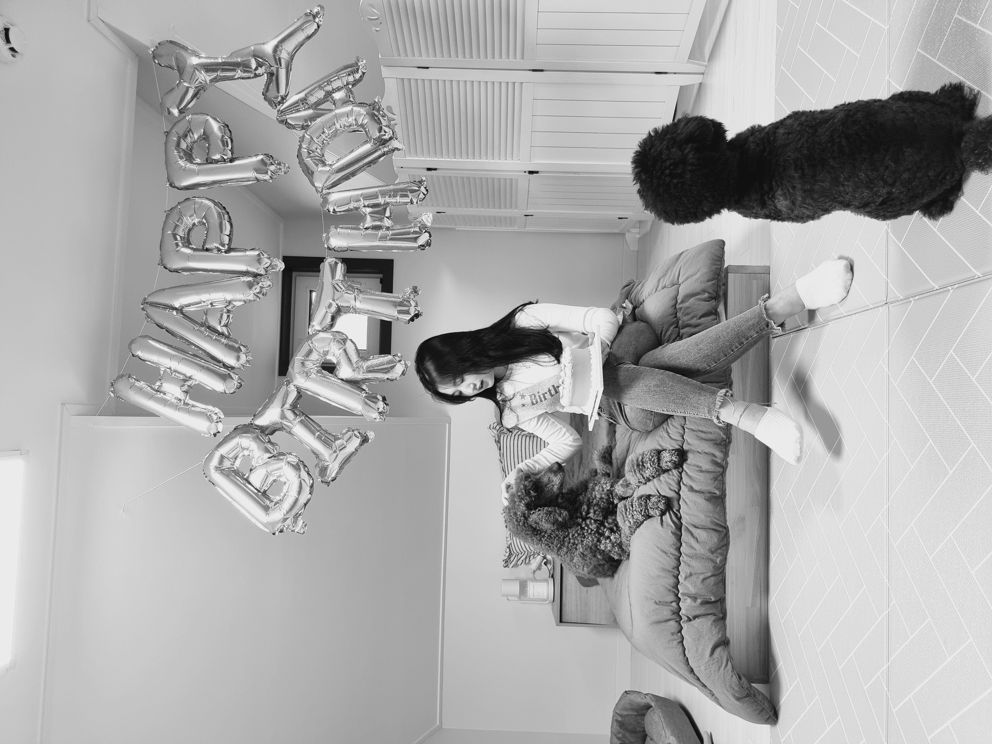 테라 입양 1년 후기(우리에게 온 귀한 선물)