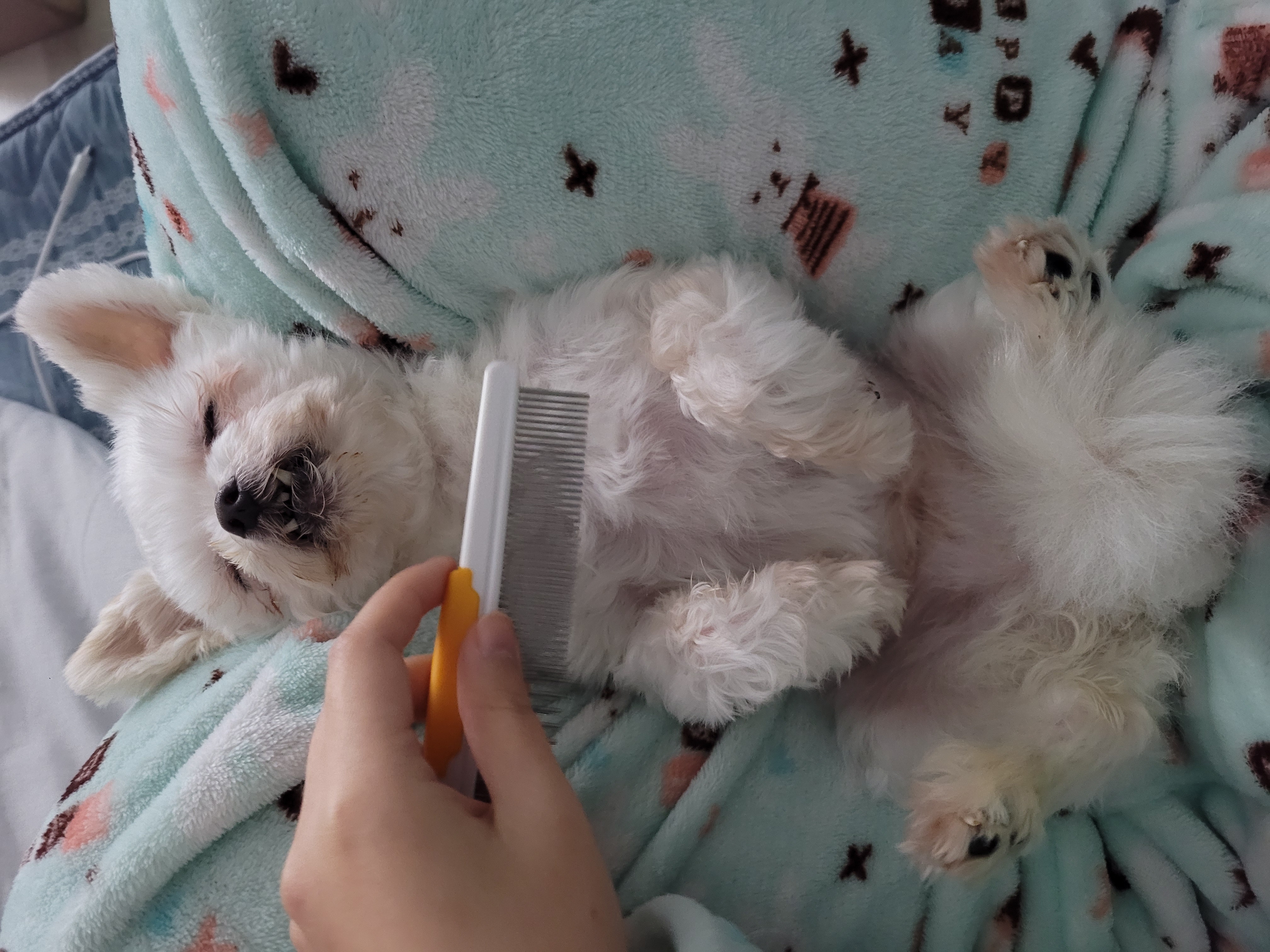 세라 임보일기 3!!!