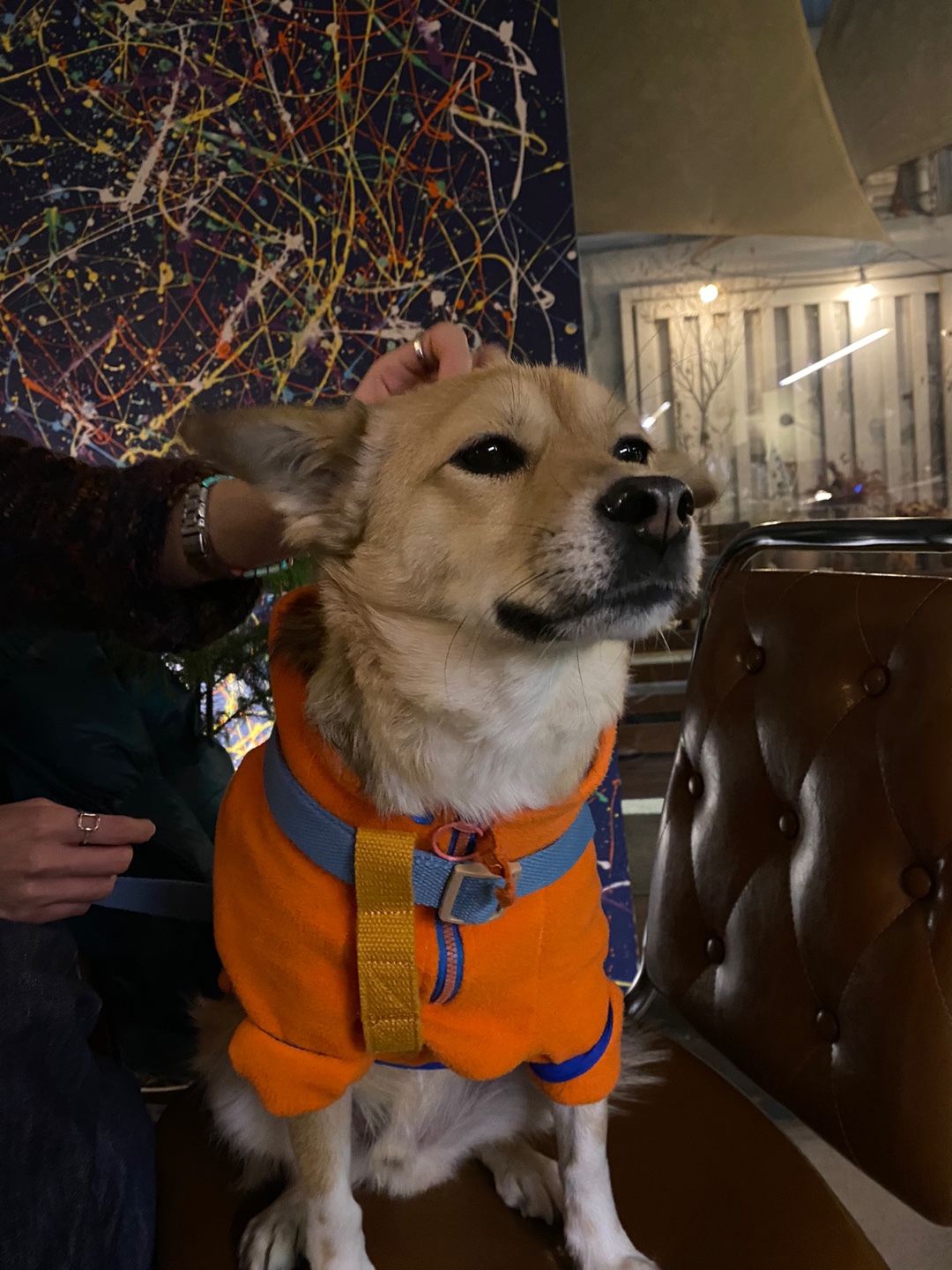 지구 임시보호 일기