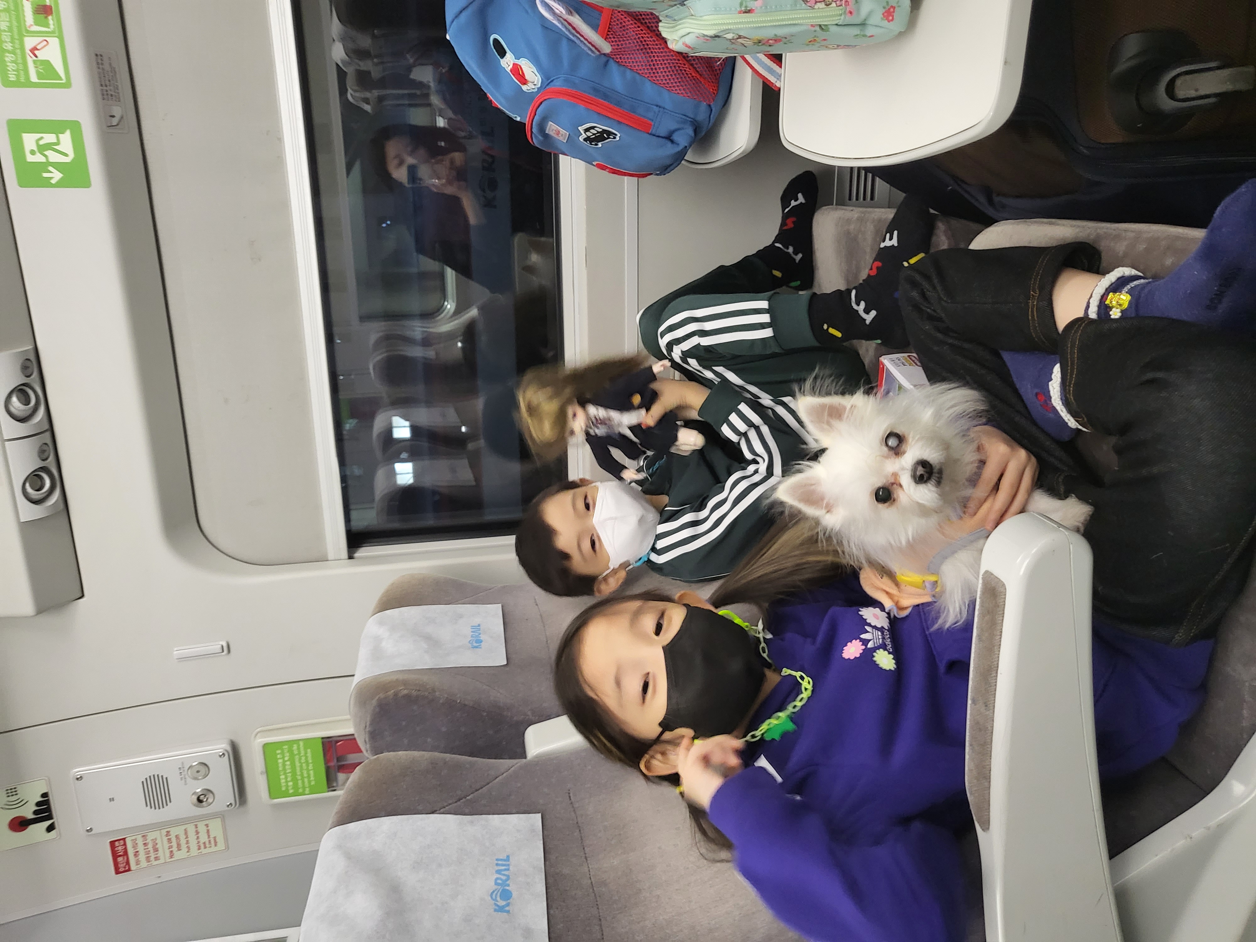 앙쥬랑 함께한 3개월