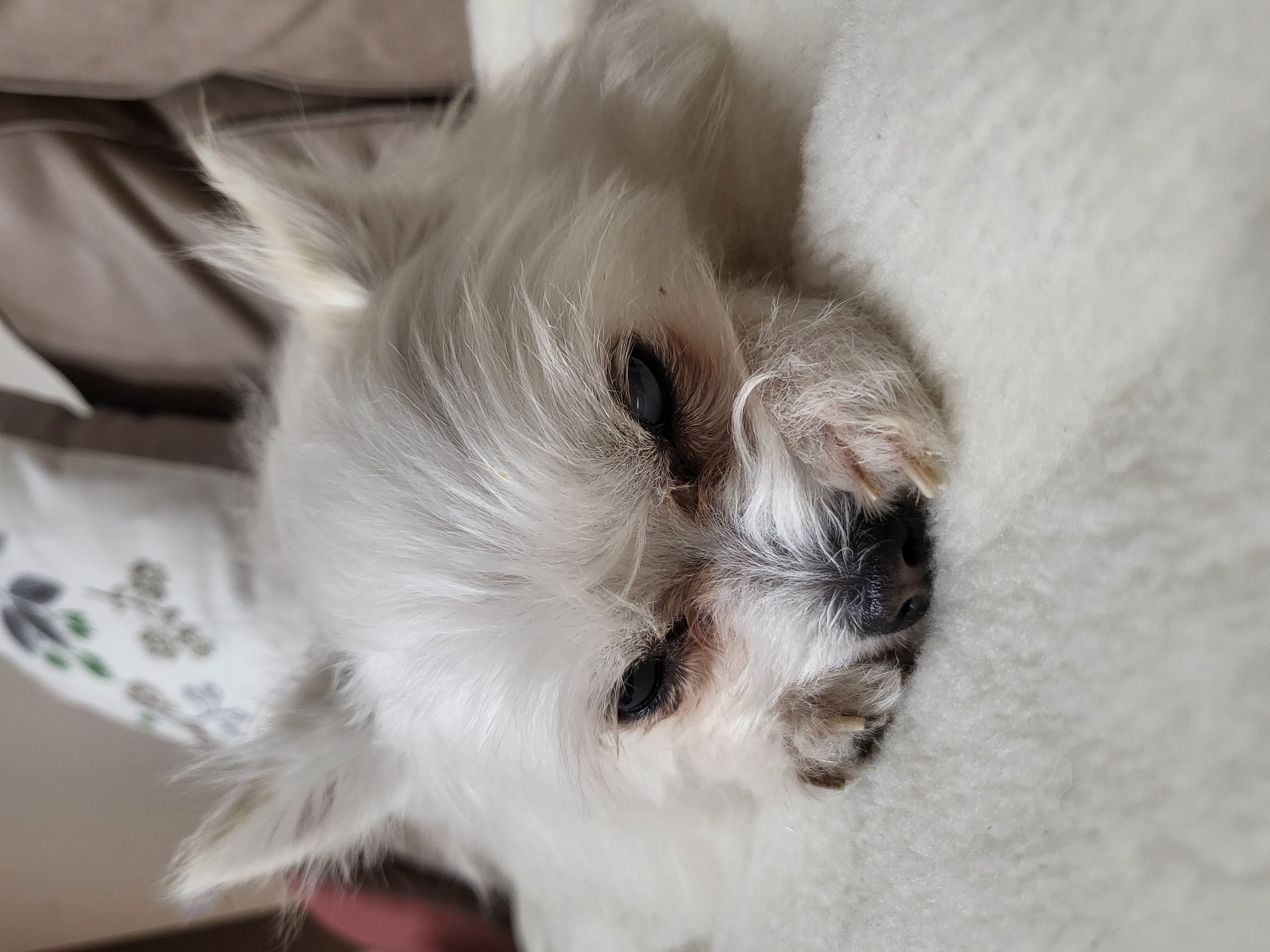 앙쥬랑 함께한 3개월