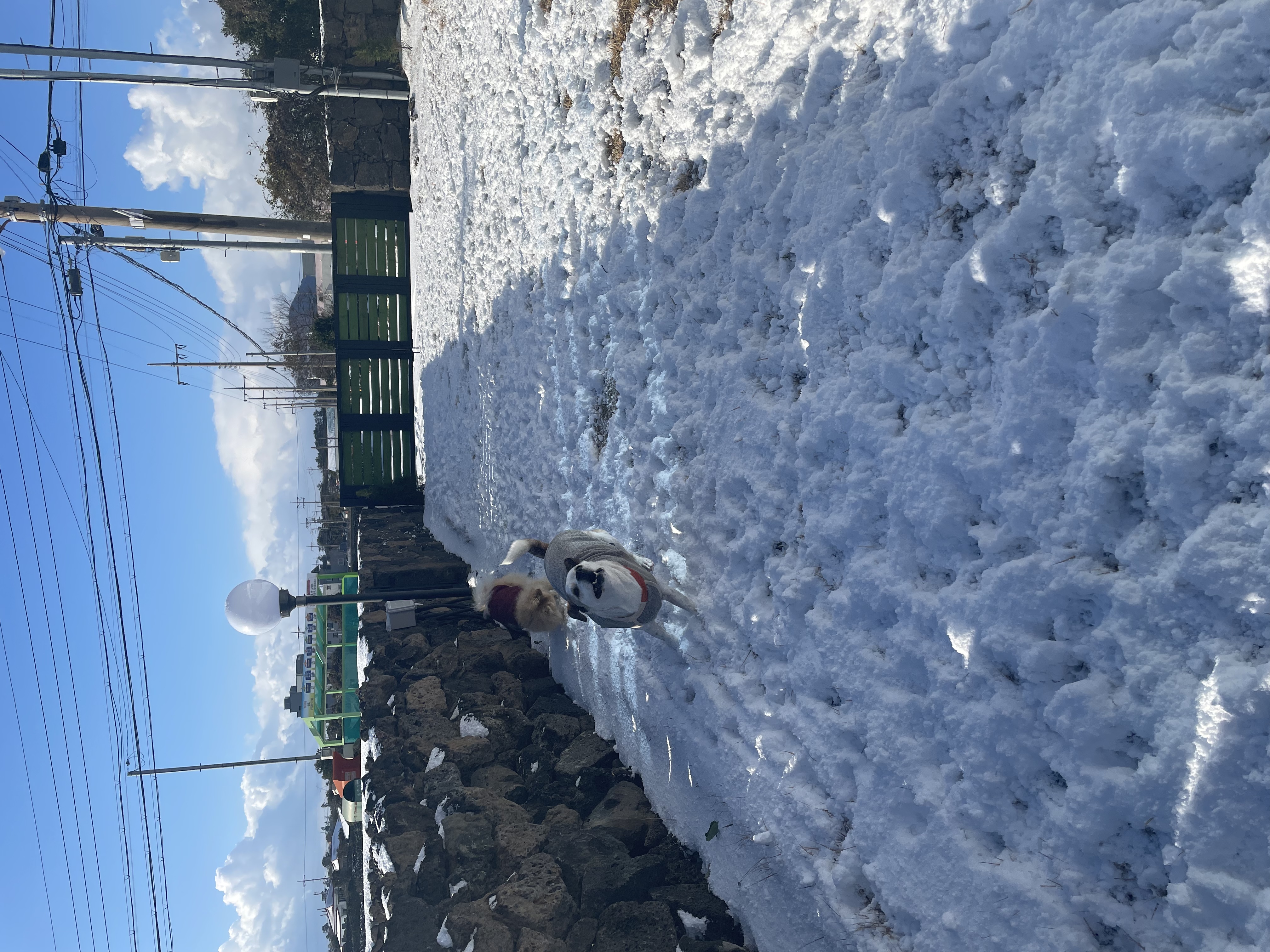 당이(도도)근이(그삼이)