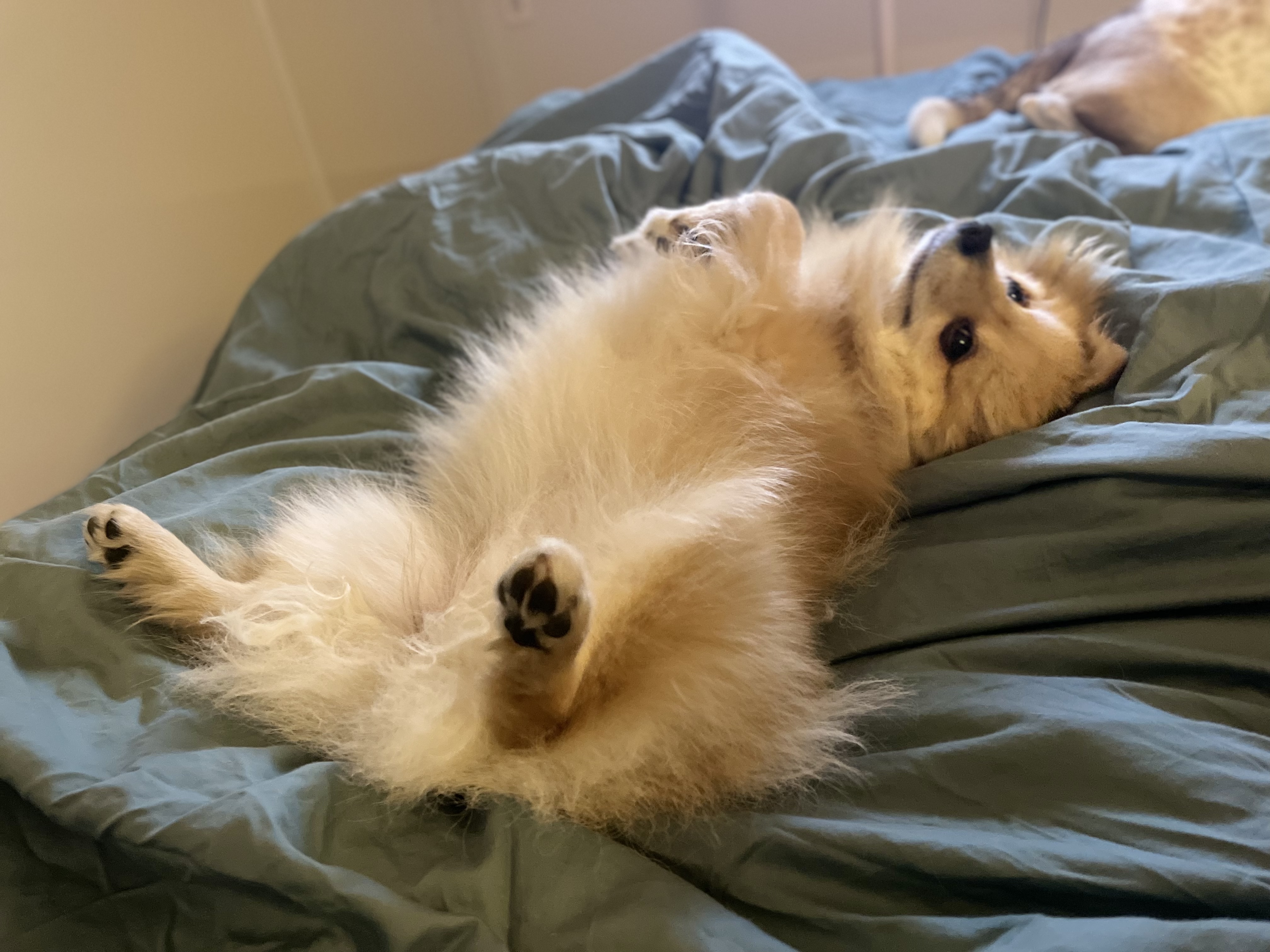 당이(도도)근이(그삼이)