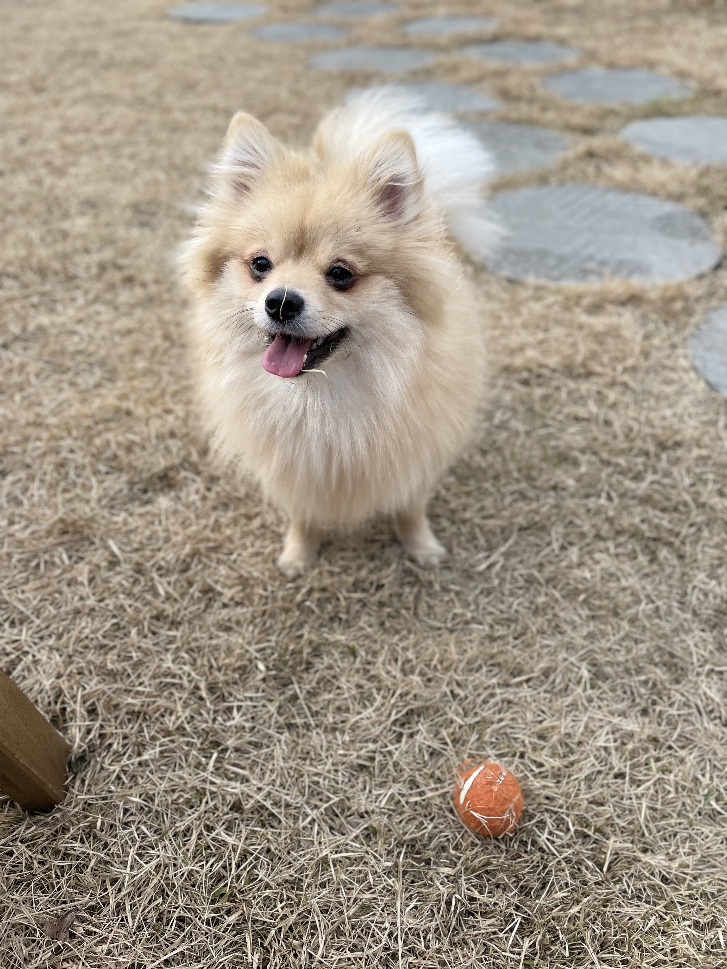 당이(도도)근이(그삼이)