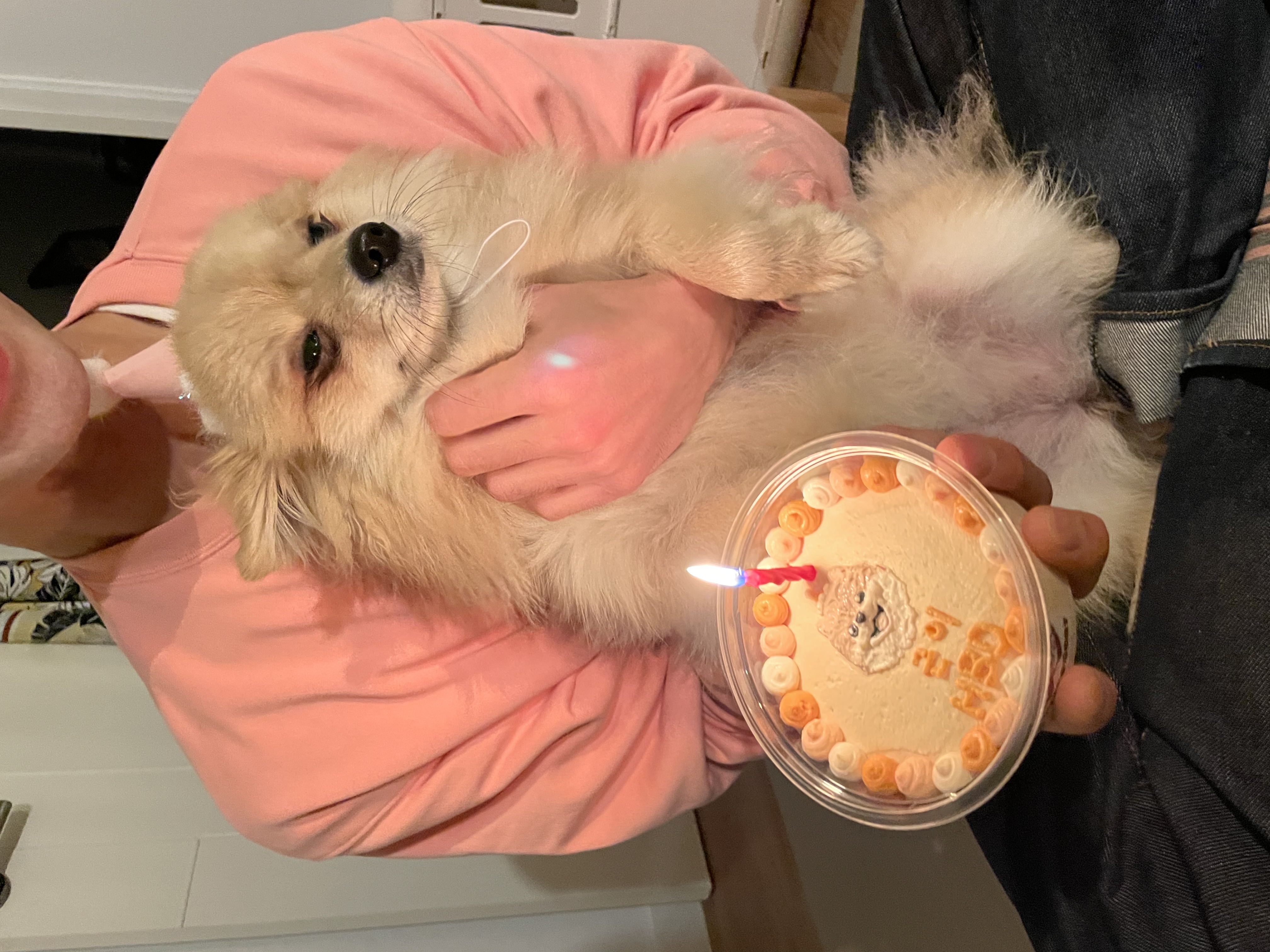 당이(도도)근이(그삼이)