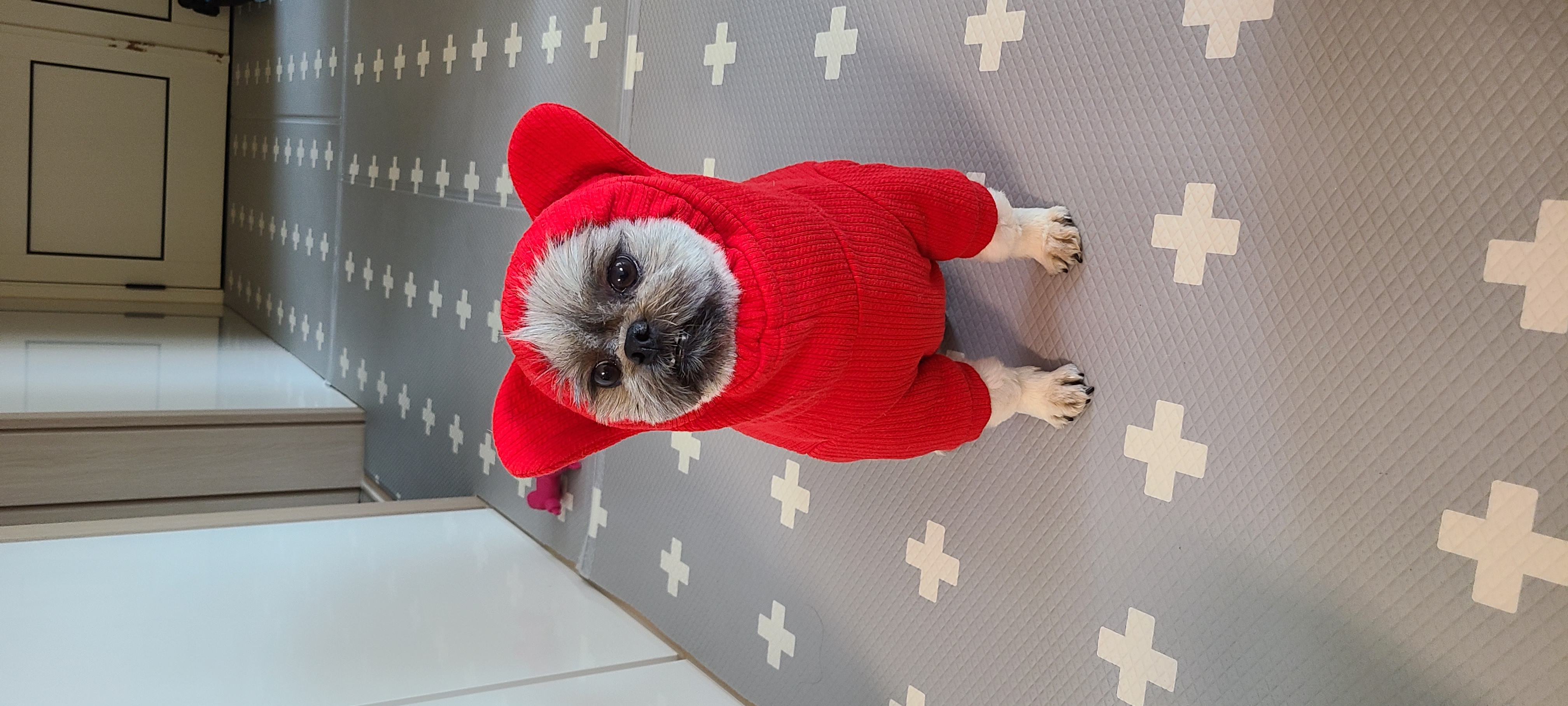 세남이(흑미)인사합니다