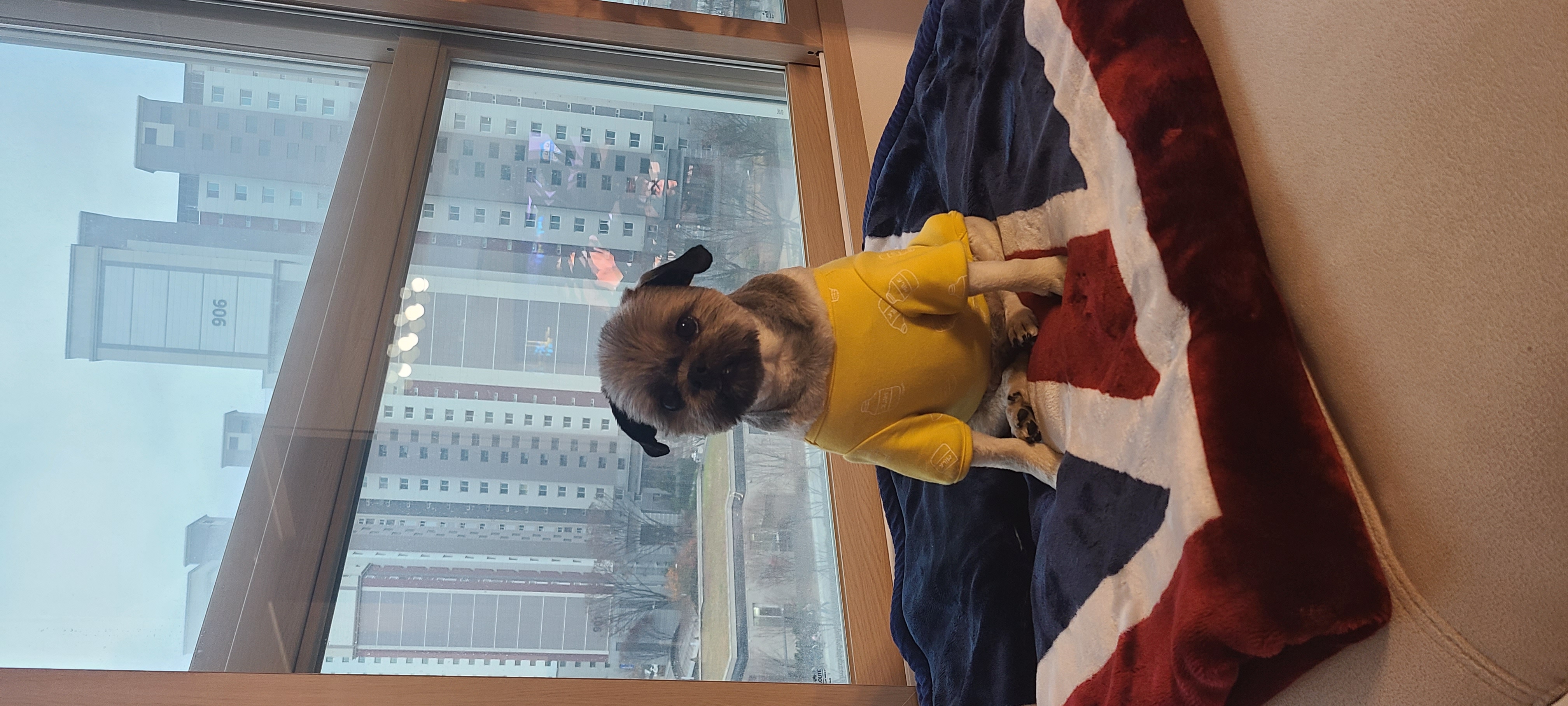 세남이(흑미)인사합니다