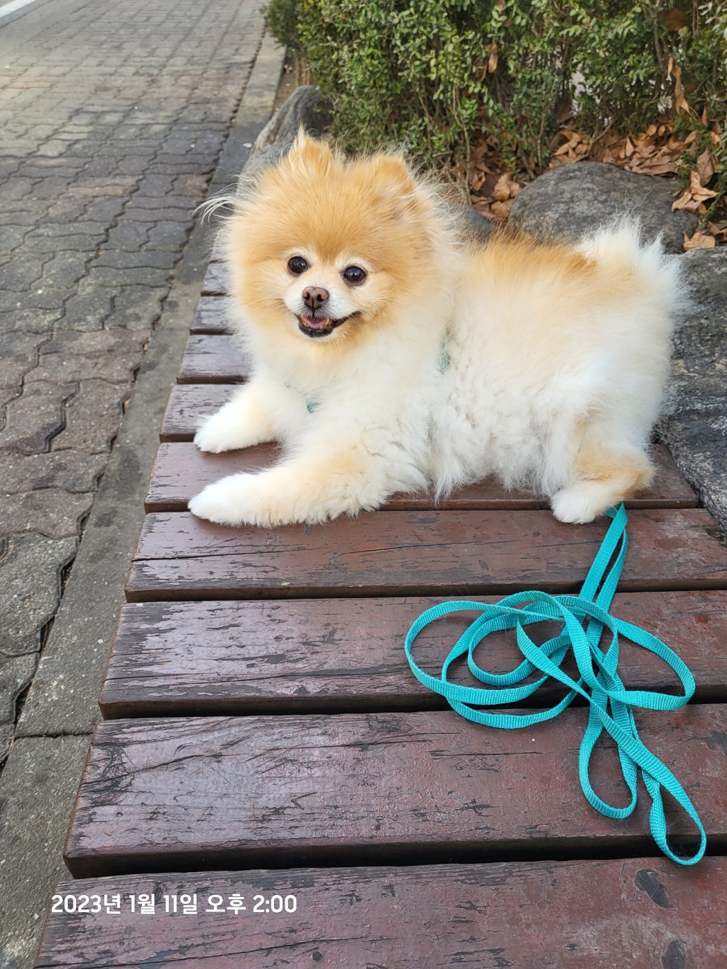 슬기 잘 있어요~^^