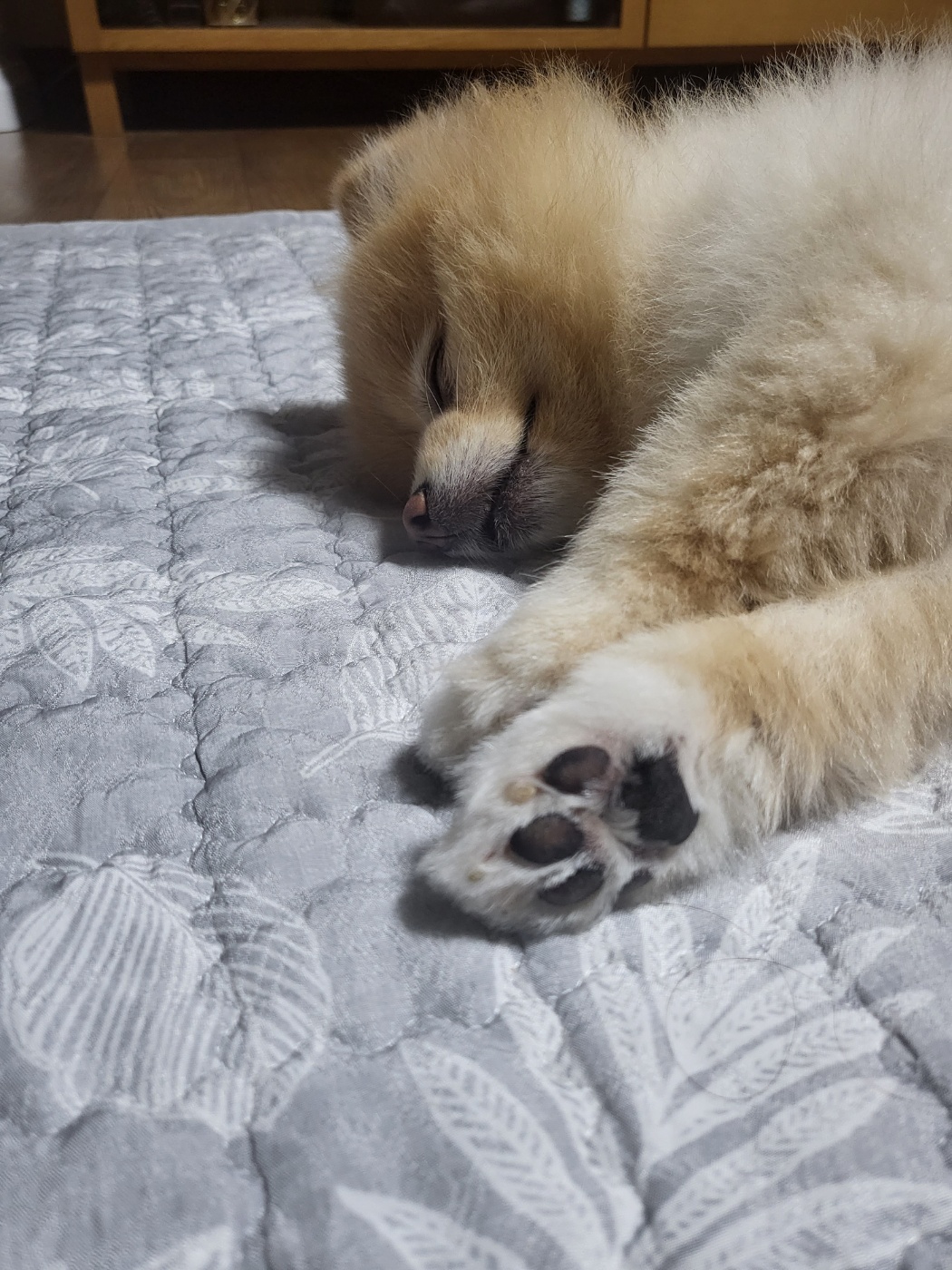 슬기 잘 있어요~^^