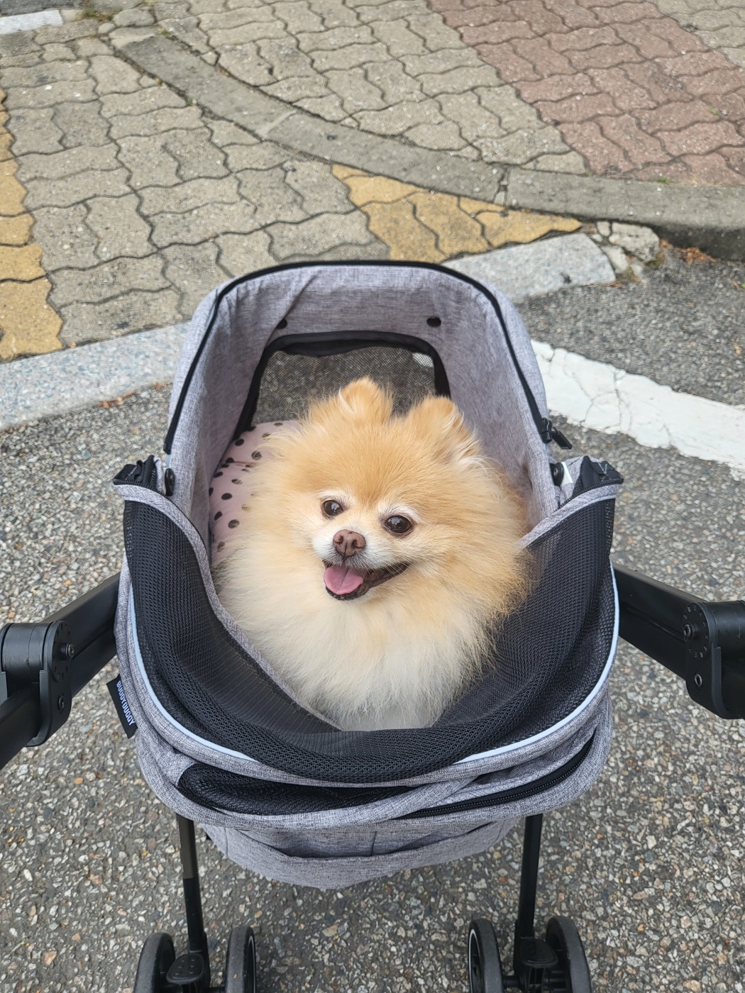 슬기 잘 있어요~^^