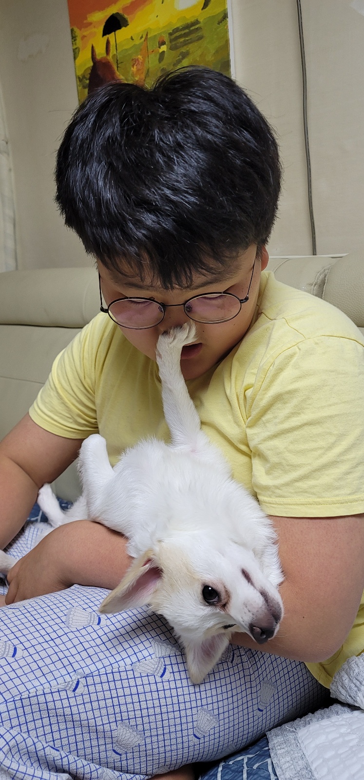 누릉(세투) 입양 1개월 후기