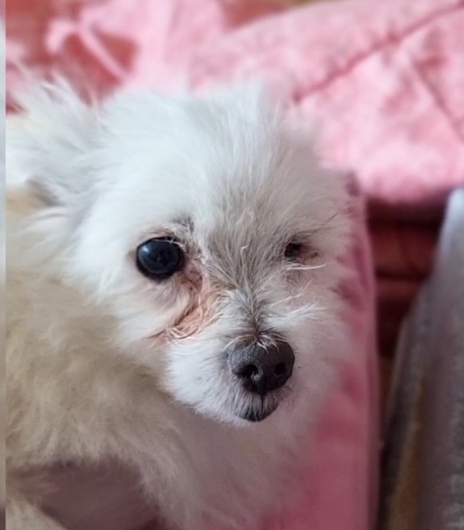 임보한달차 익순이 근황전합니다~