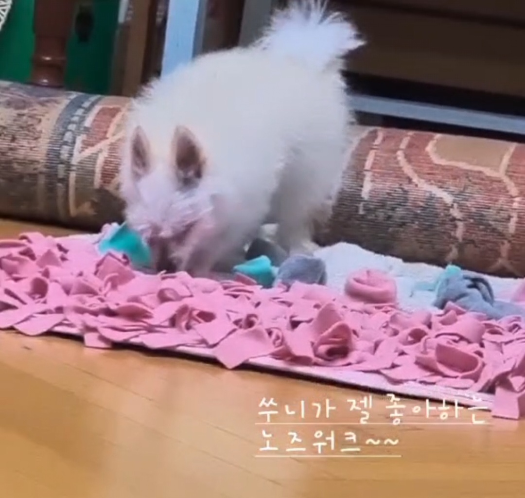 임보한달차 익순이 근황전합니다~