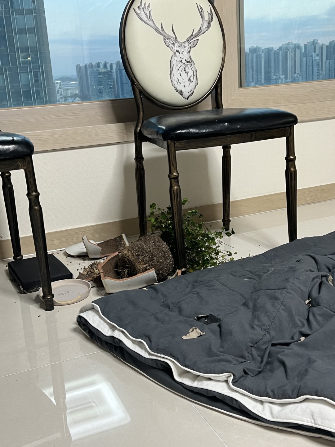 (구,강식) 테오의 석달 가족일기 