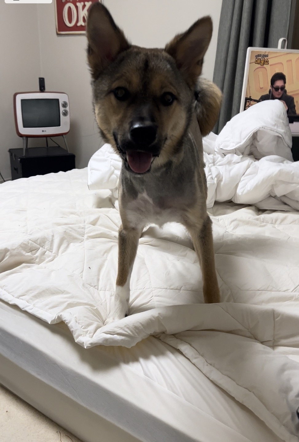 (구,강식) 테오의 석달 가족일기 