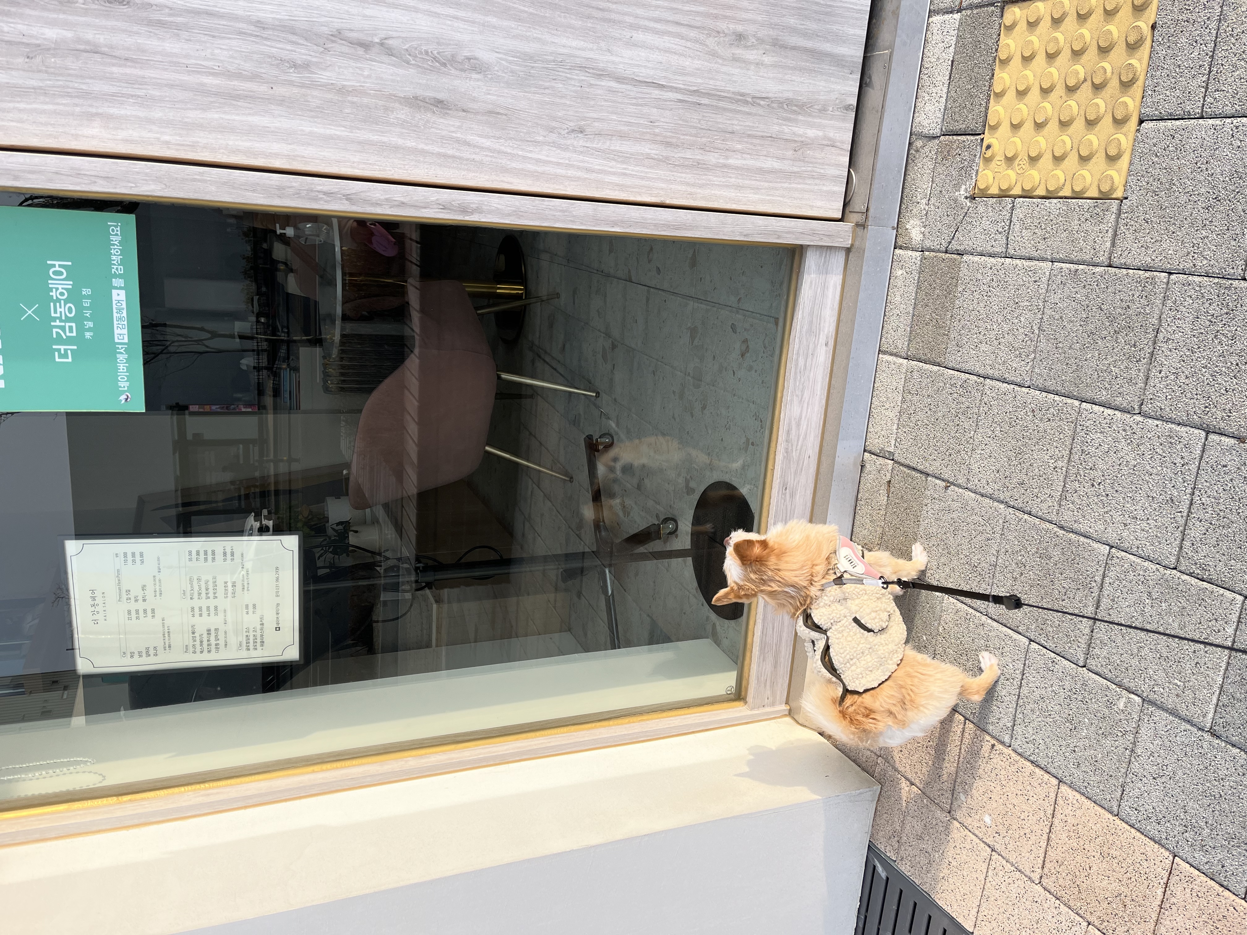 포나 3개월 됐습니다!