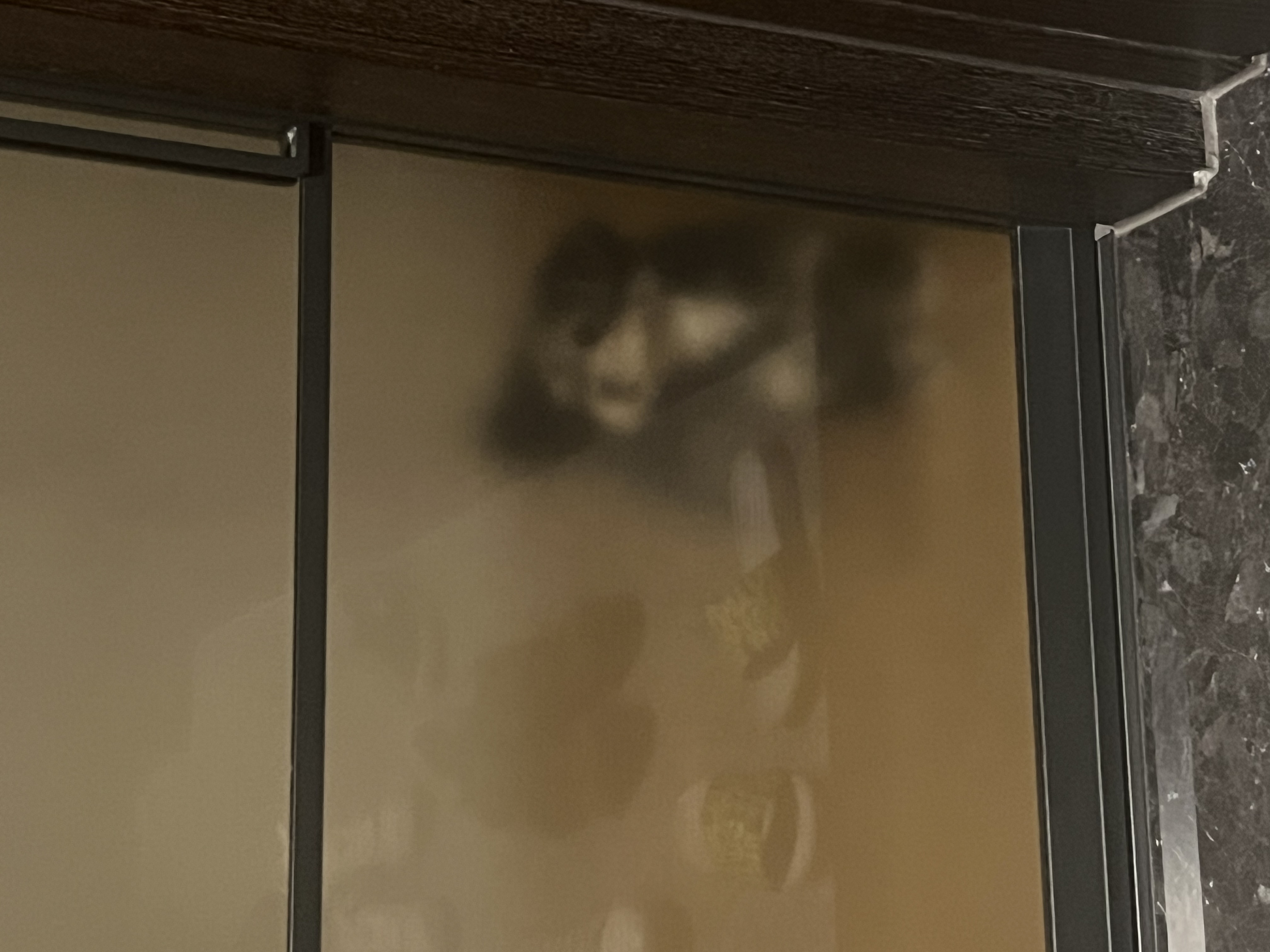 순심이 입양 1개월차!!