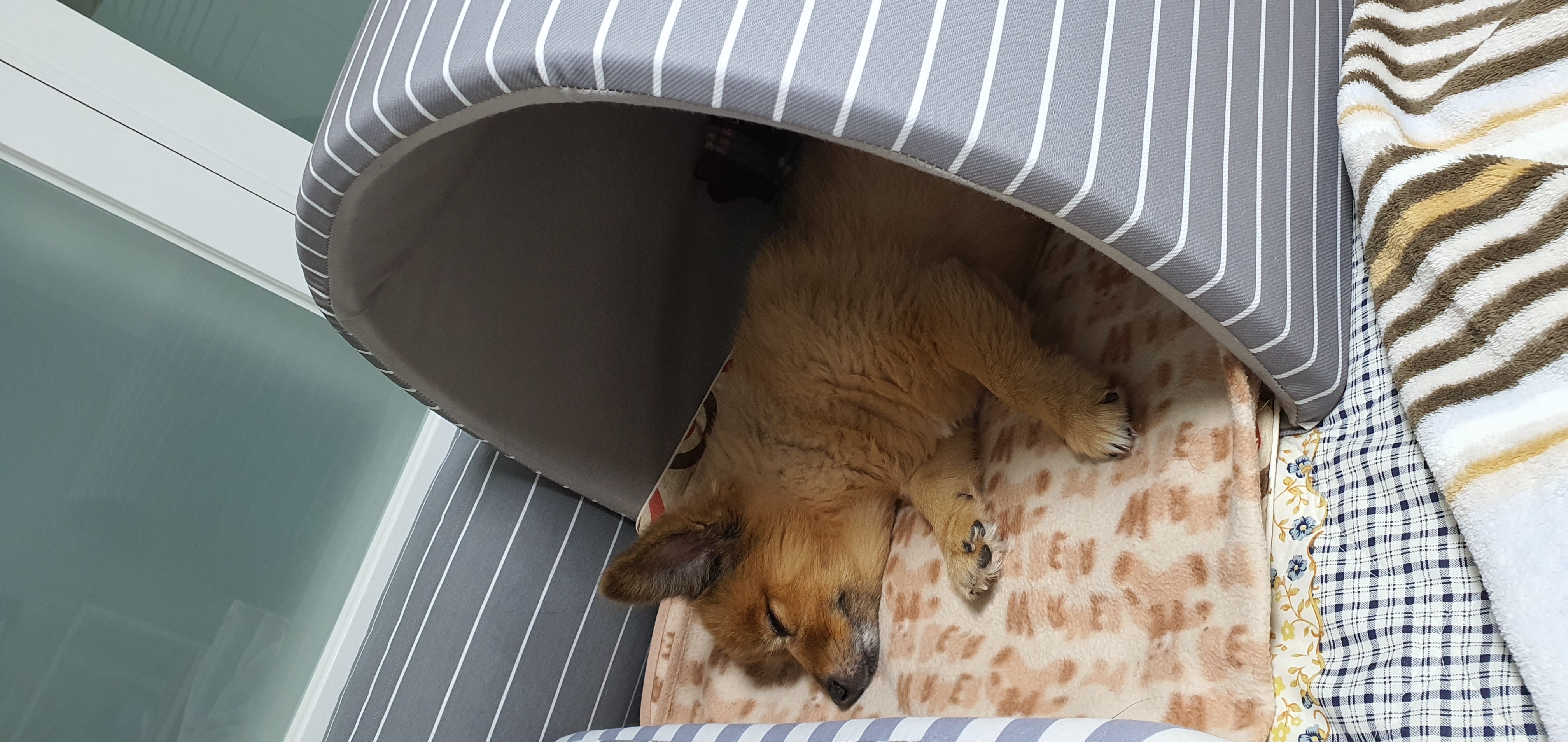 멜란이 2년차 후기