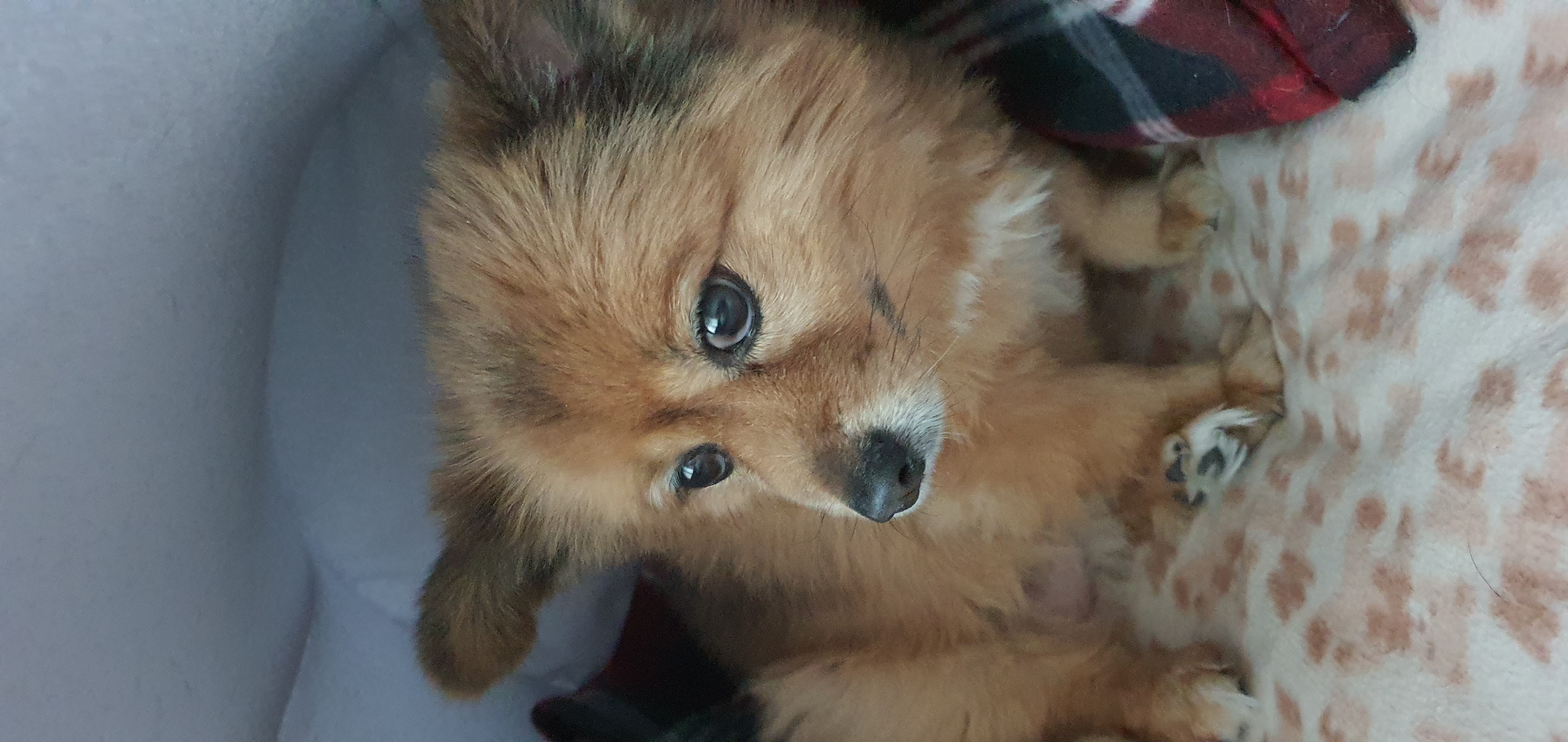 멜란이 2년차 후기