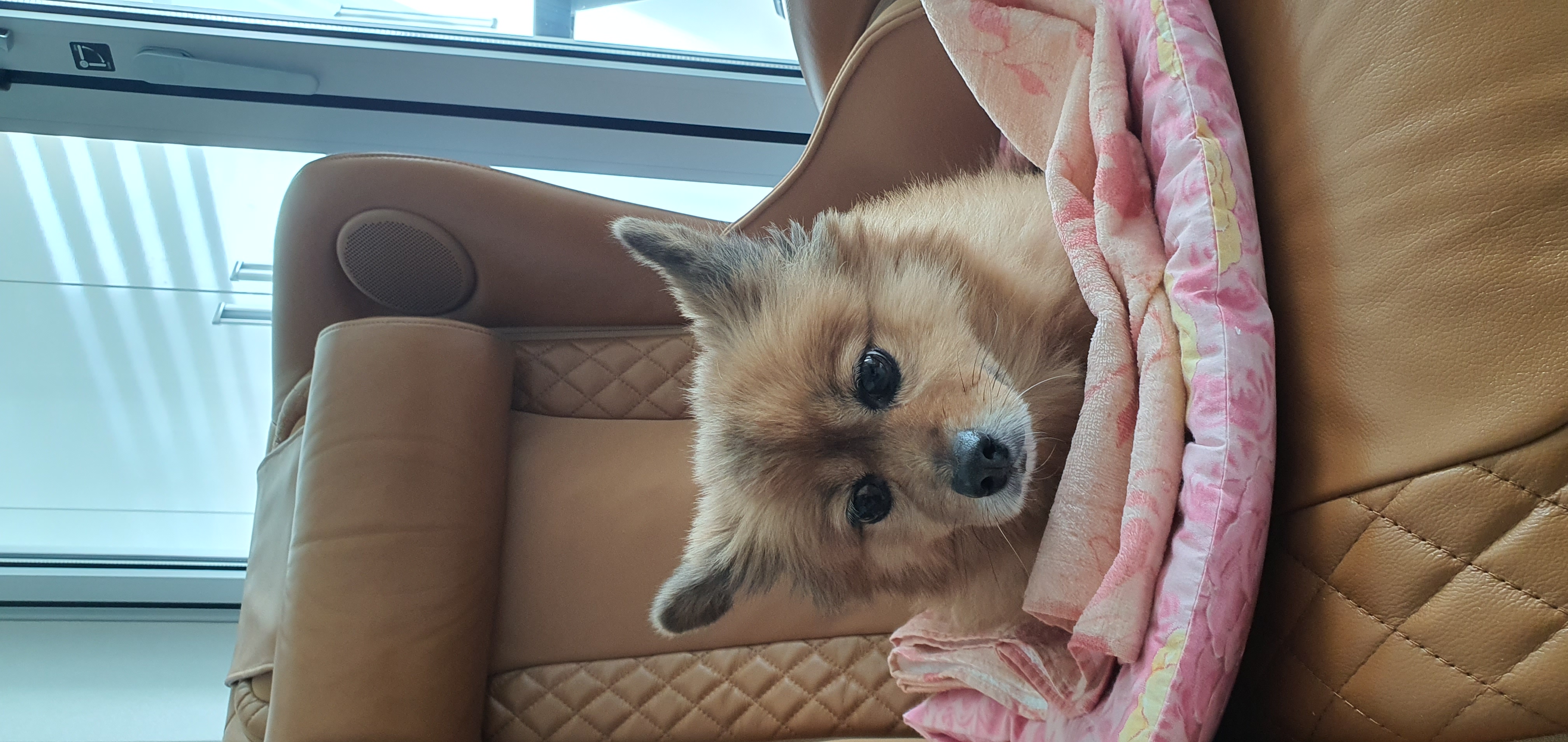 멜란이 2년차 후기