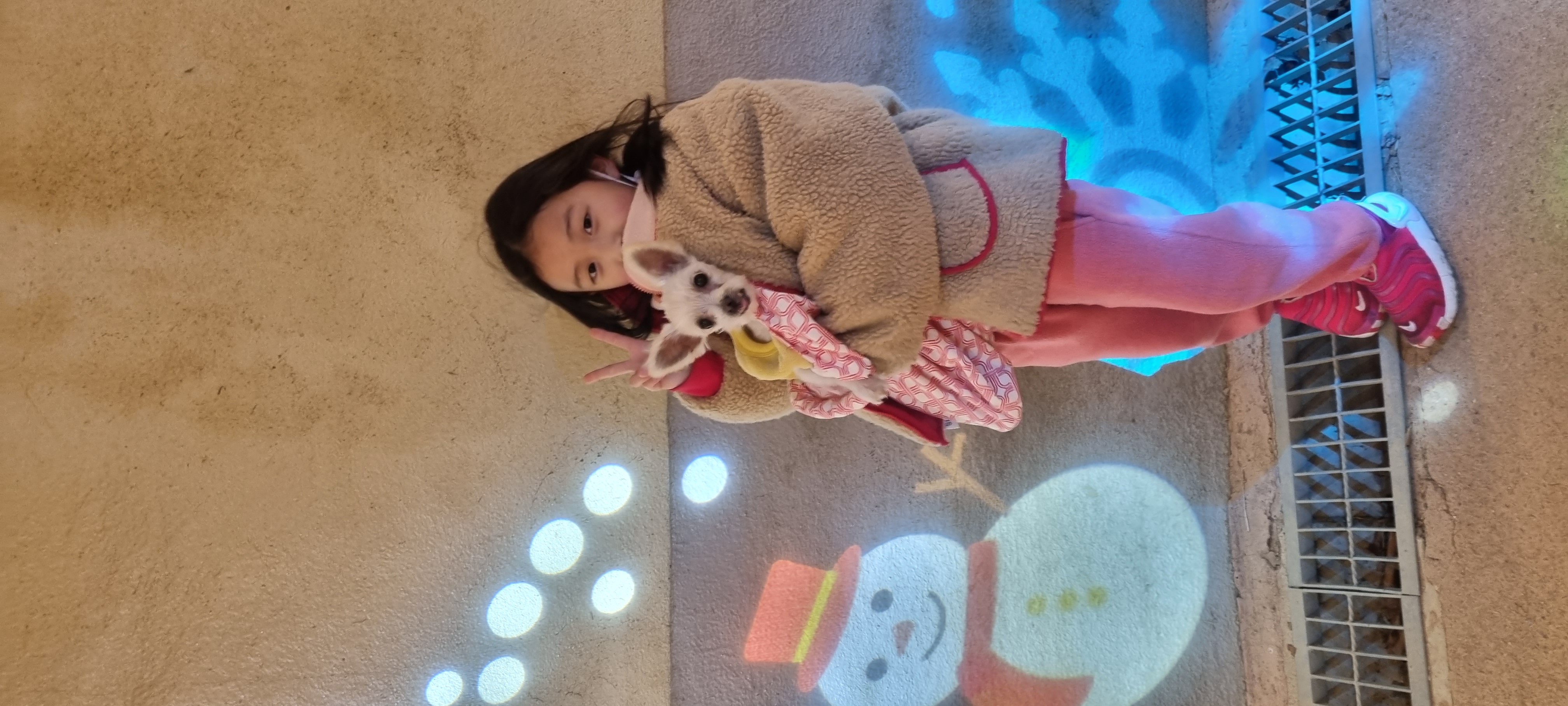 천안 아산 구조견 엘프 임보 한달차 후기