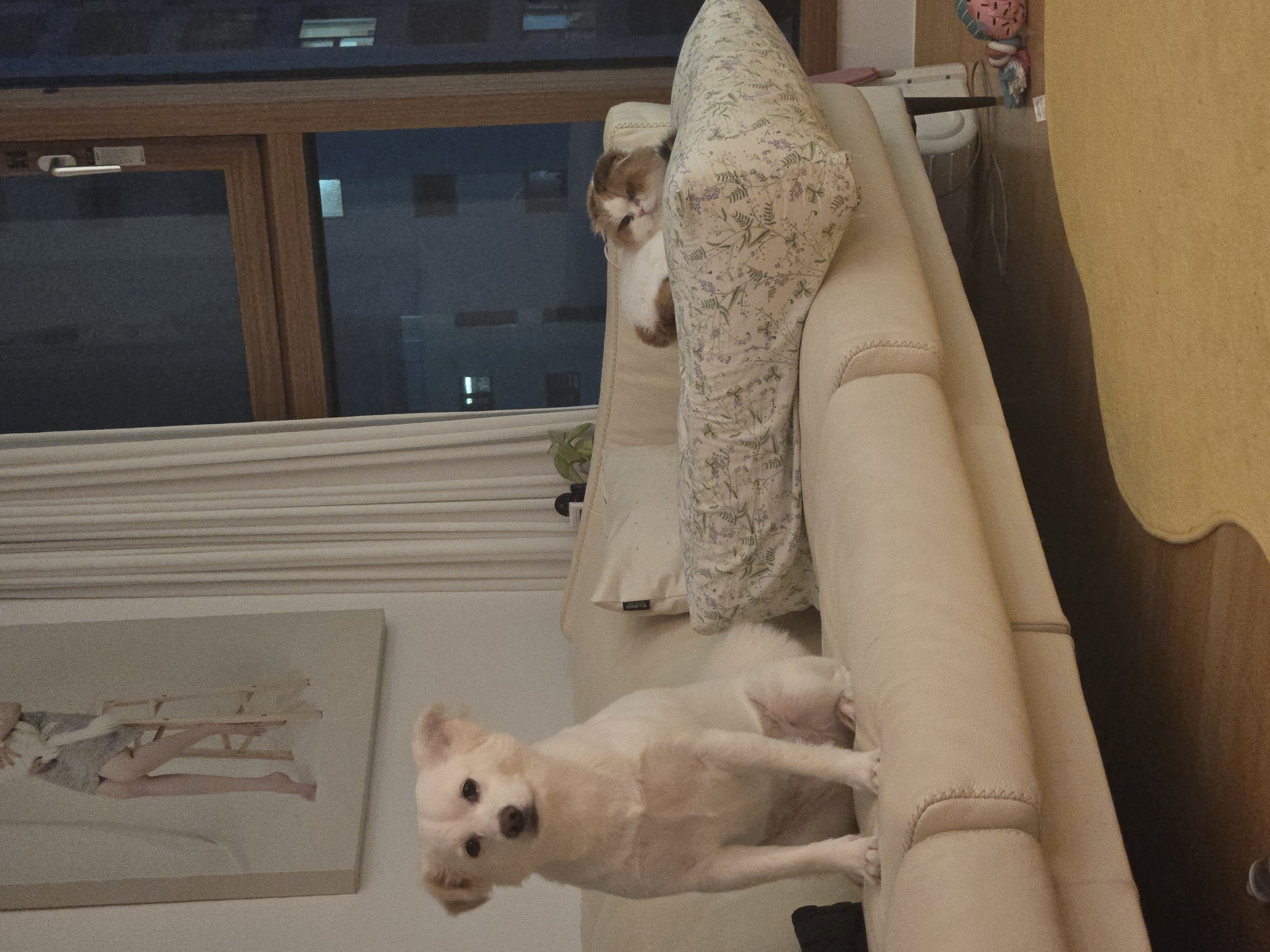 크룩섕스(알코) 1주년♡