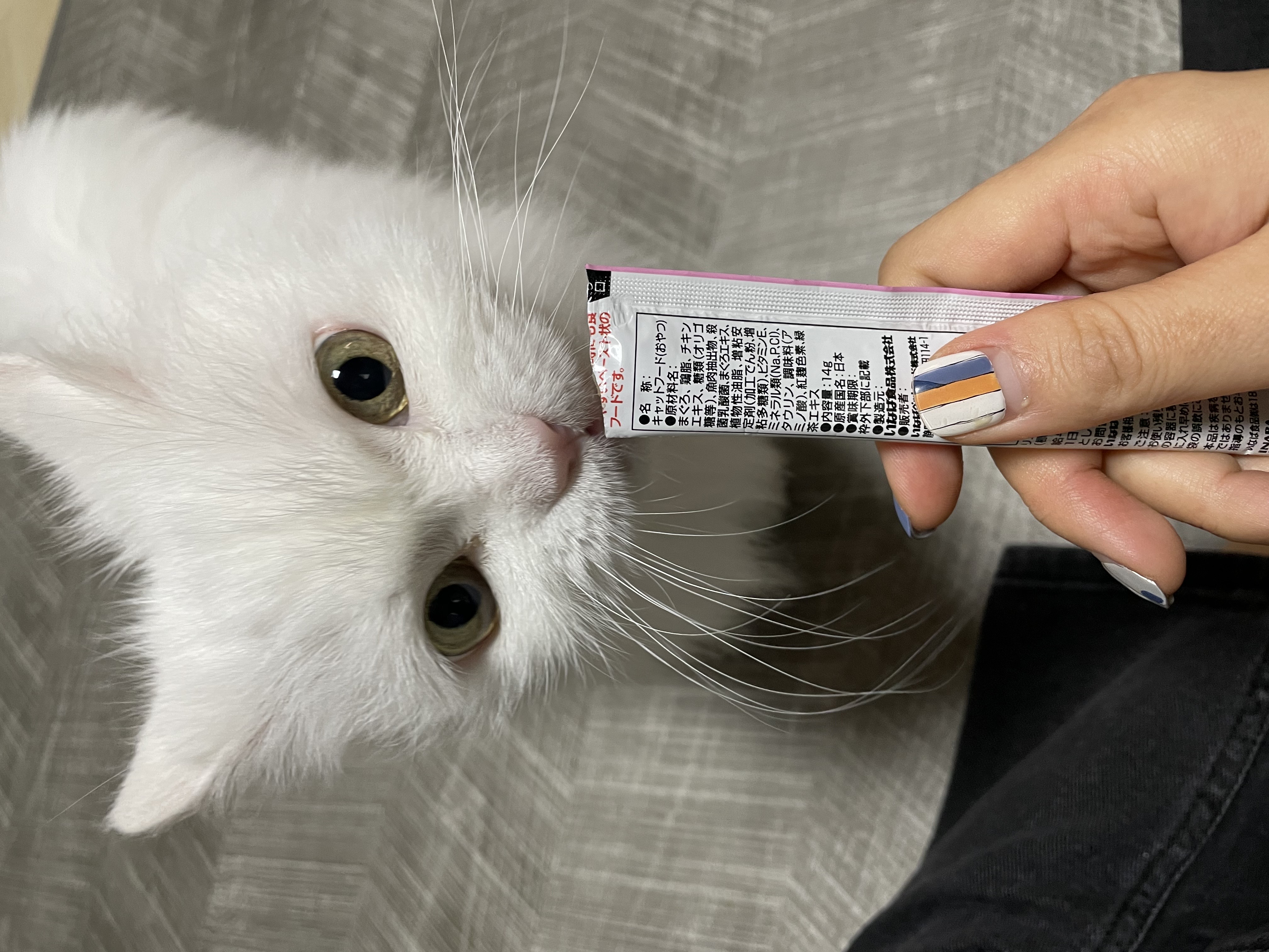 모델이 입양 일주일 - with 포도