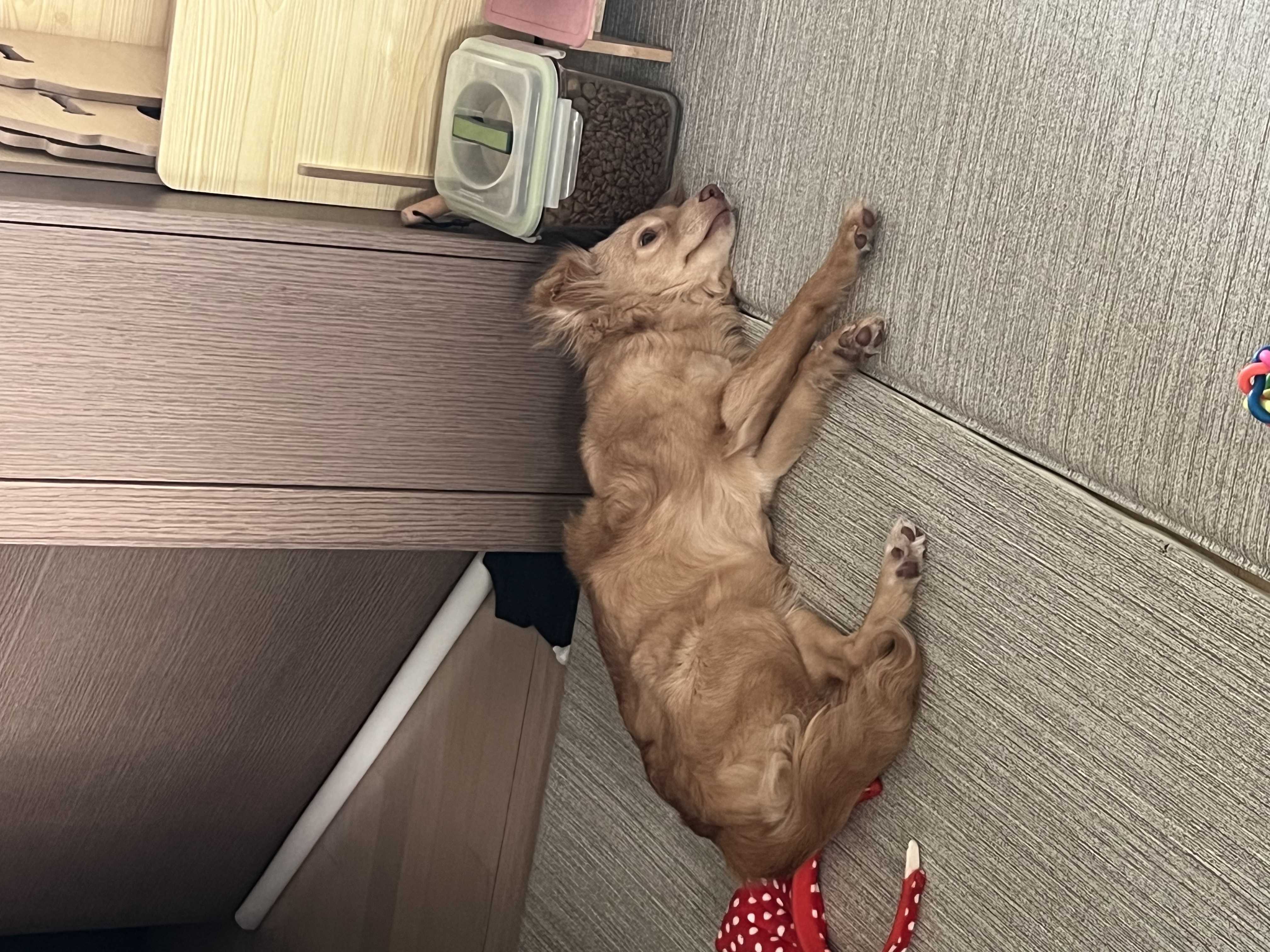 세리 후기입니당