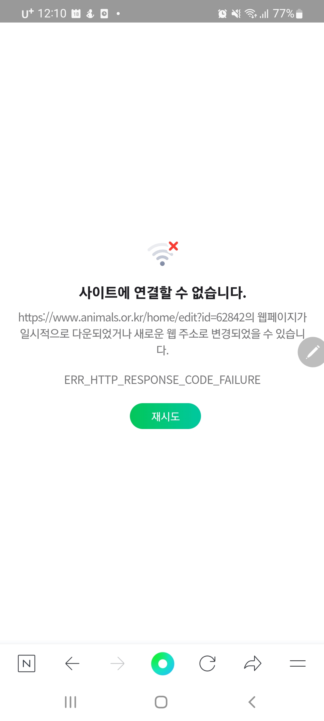 올리_임시보호 6개월 되었네요