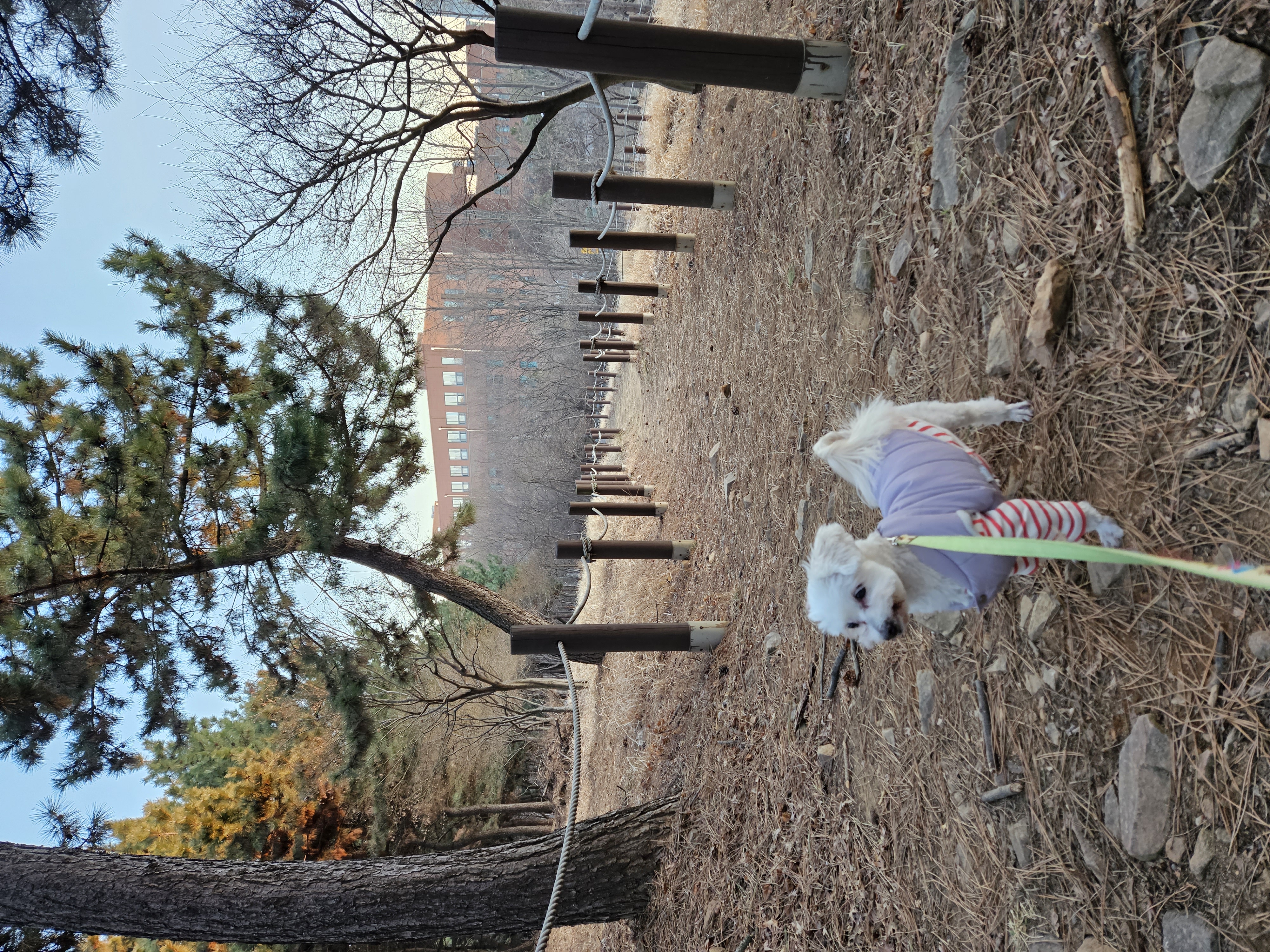 봉봉이 맞이한지 2년이 되었네요