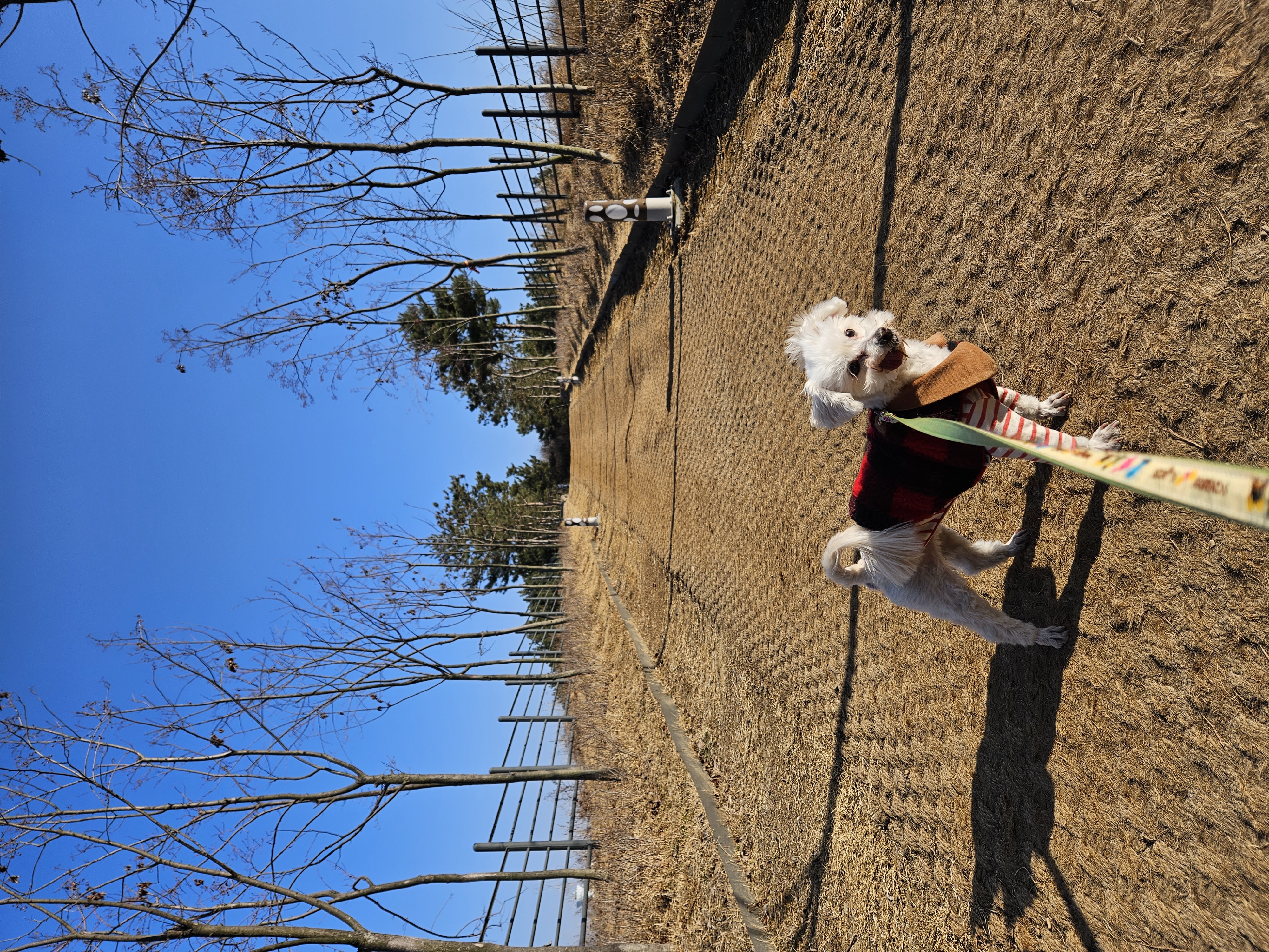 봉봉이 맞이한지 2년이 되었네요