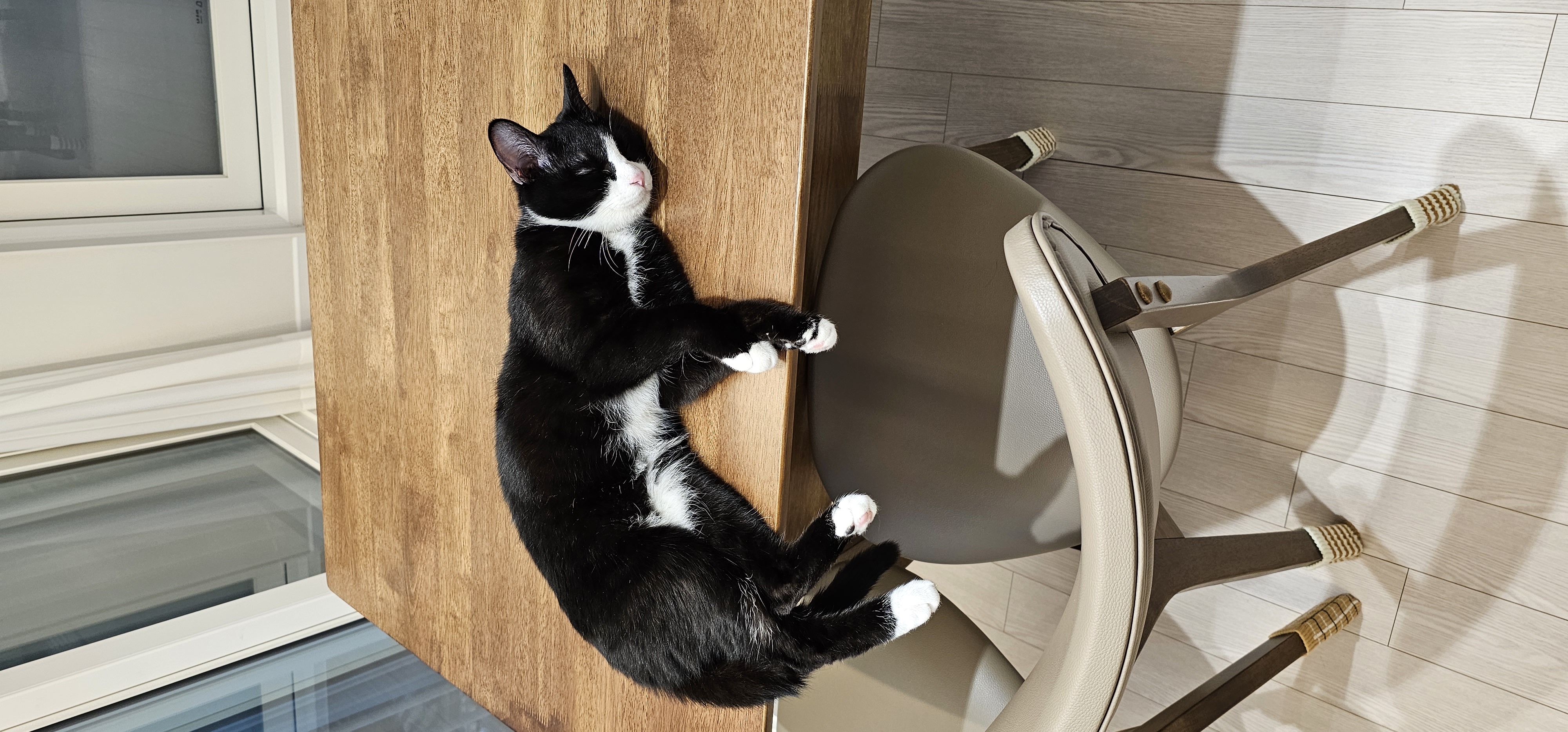 허밍이 입양 일주일차