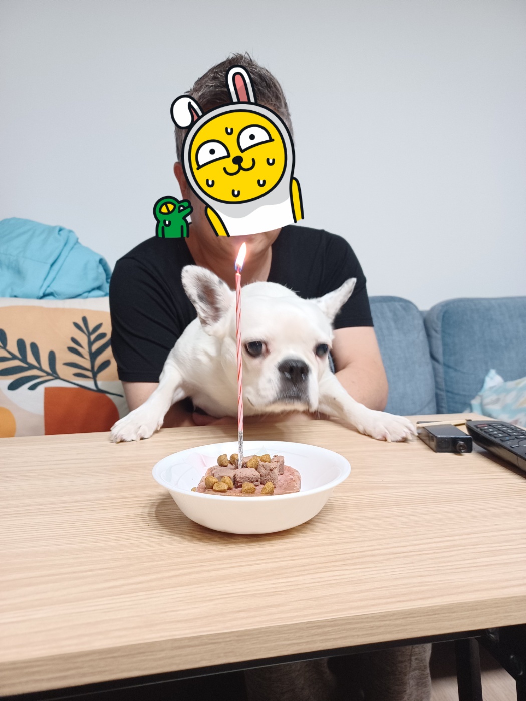 애둥이 가족된지1년 기념^^