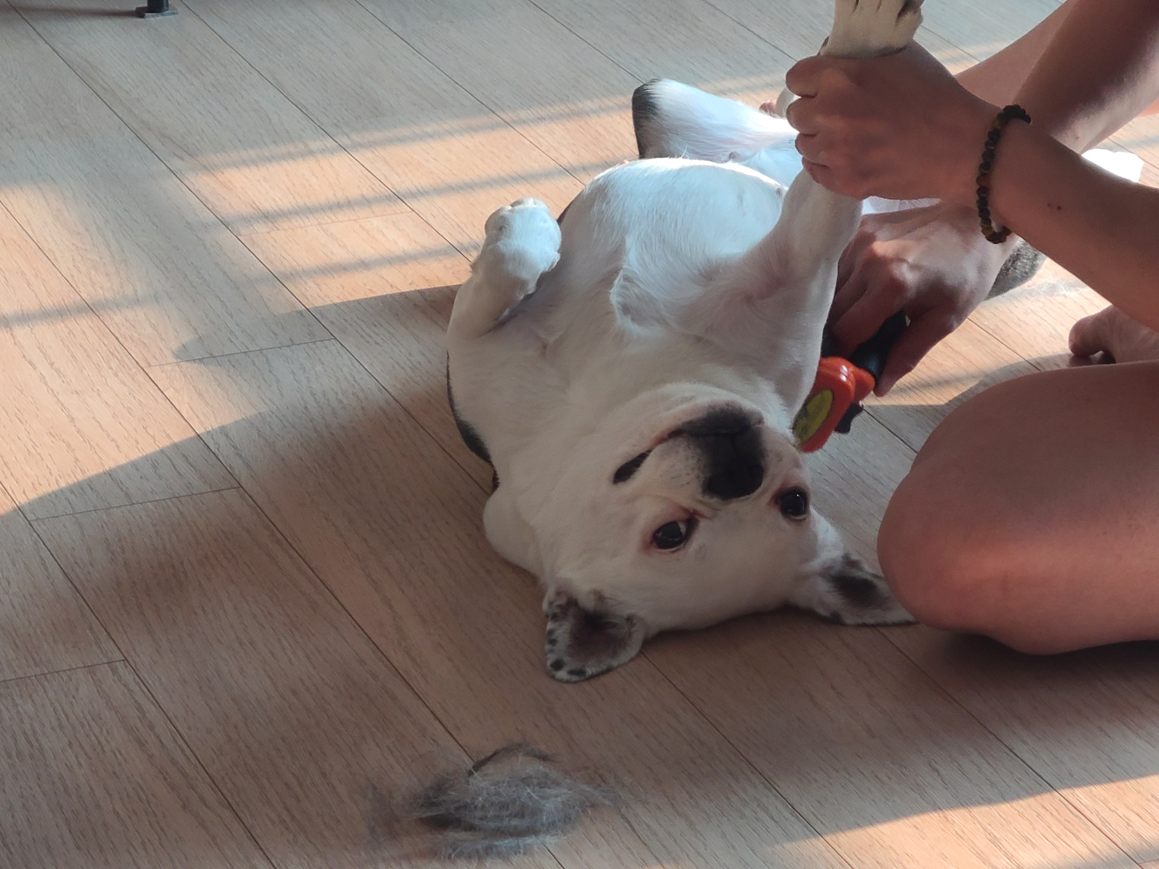 애둥이 가족된지1년 기념^^