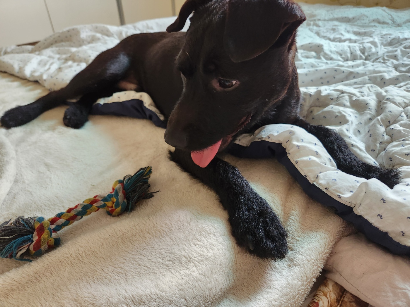 3개월동안 함께한 이제는 완전히 제로가된 깜시입니다. 