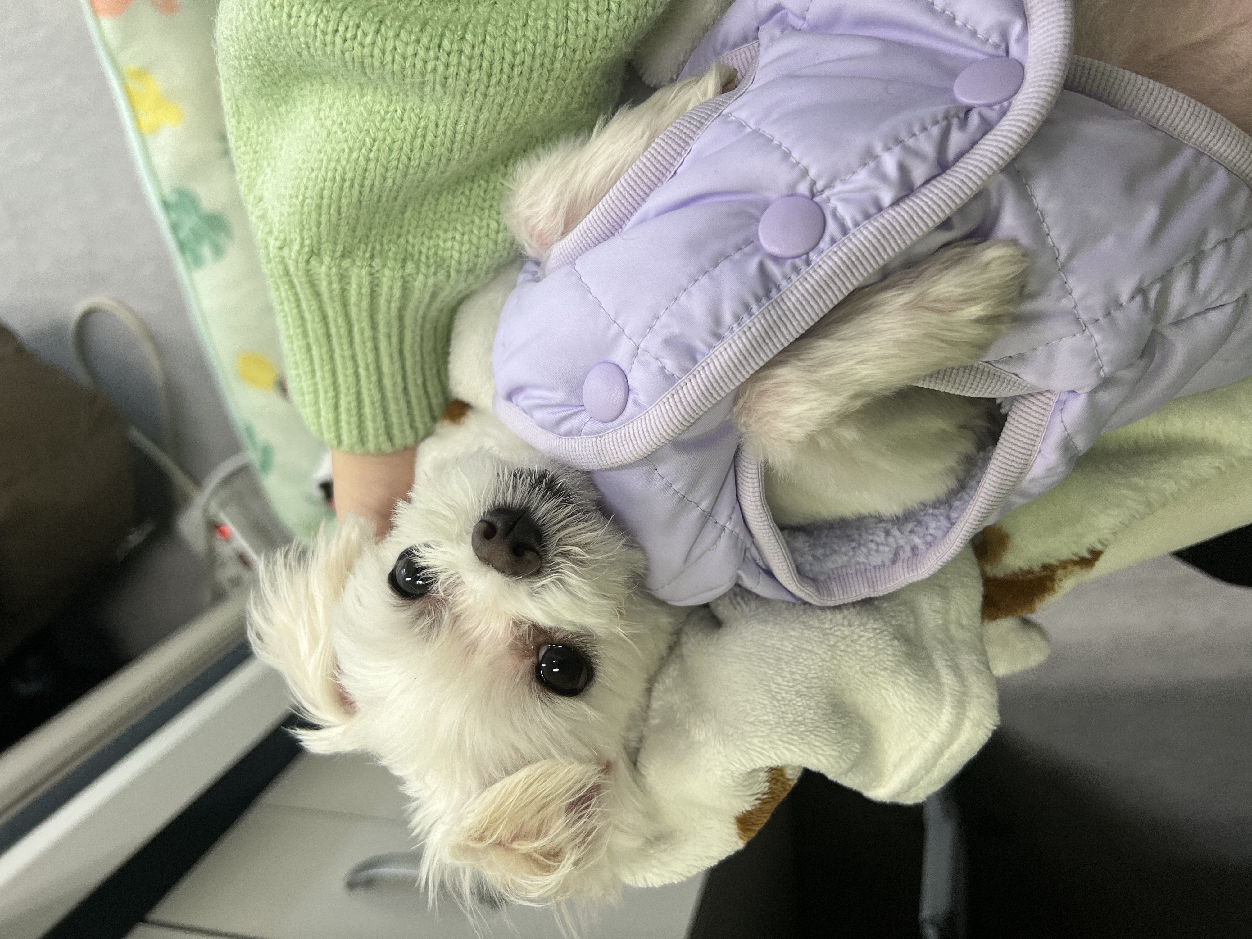 삼원이(다비)는 잘 적응했어요!