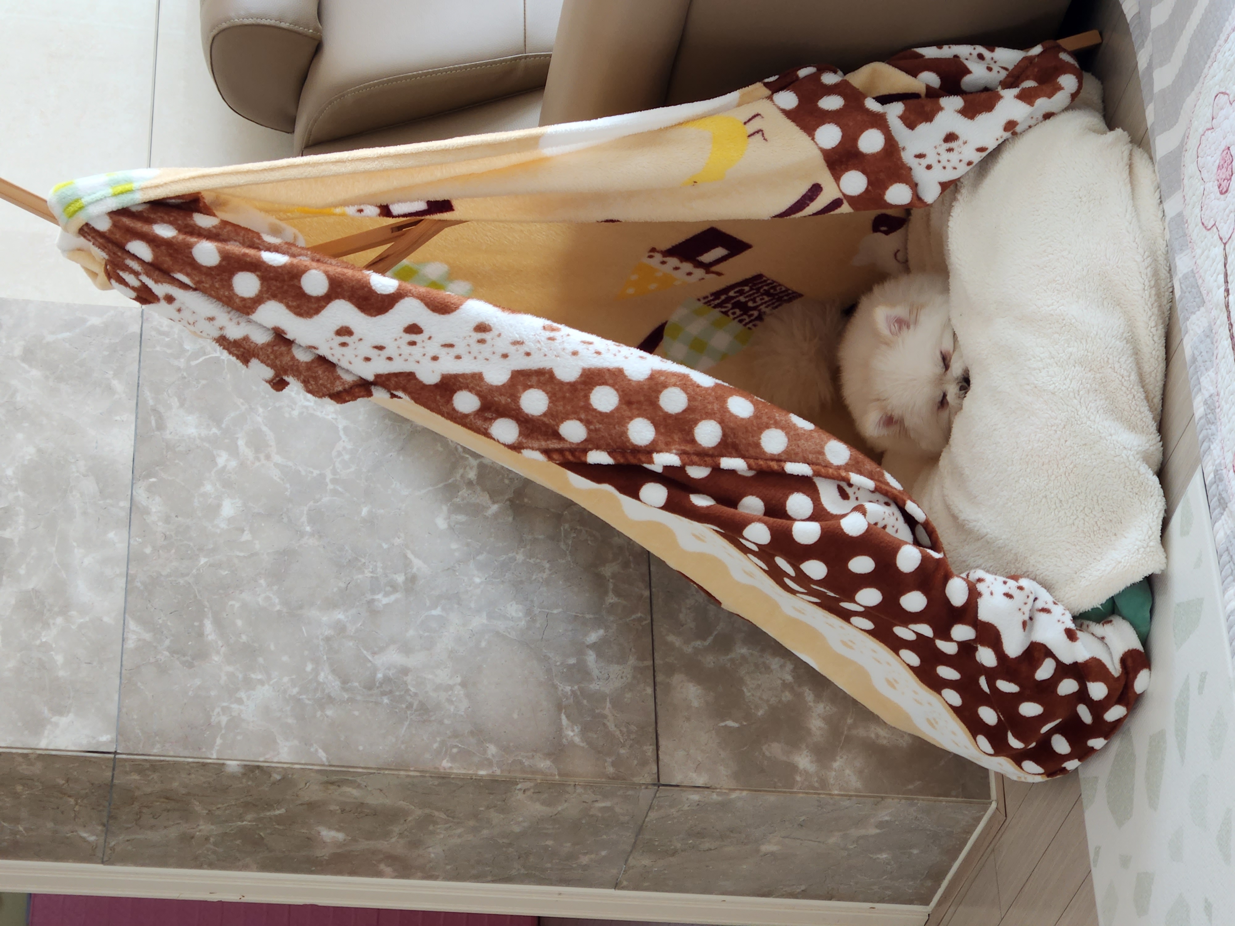 율무(시루) 한달차