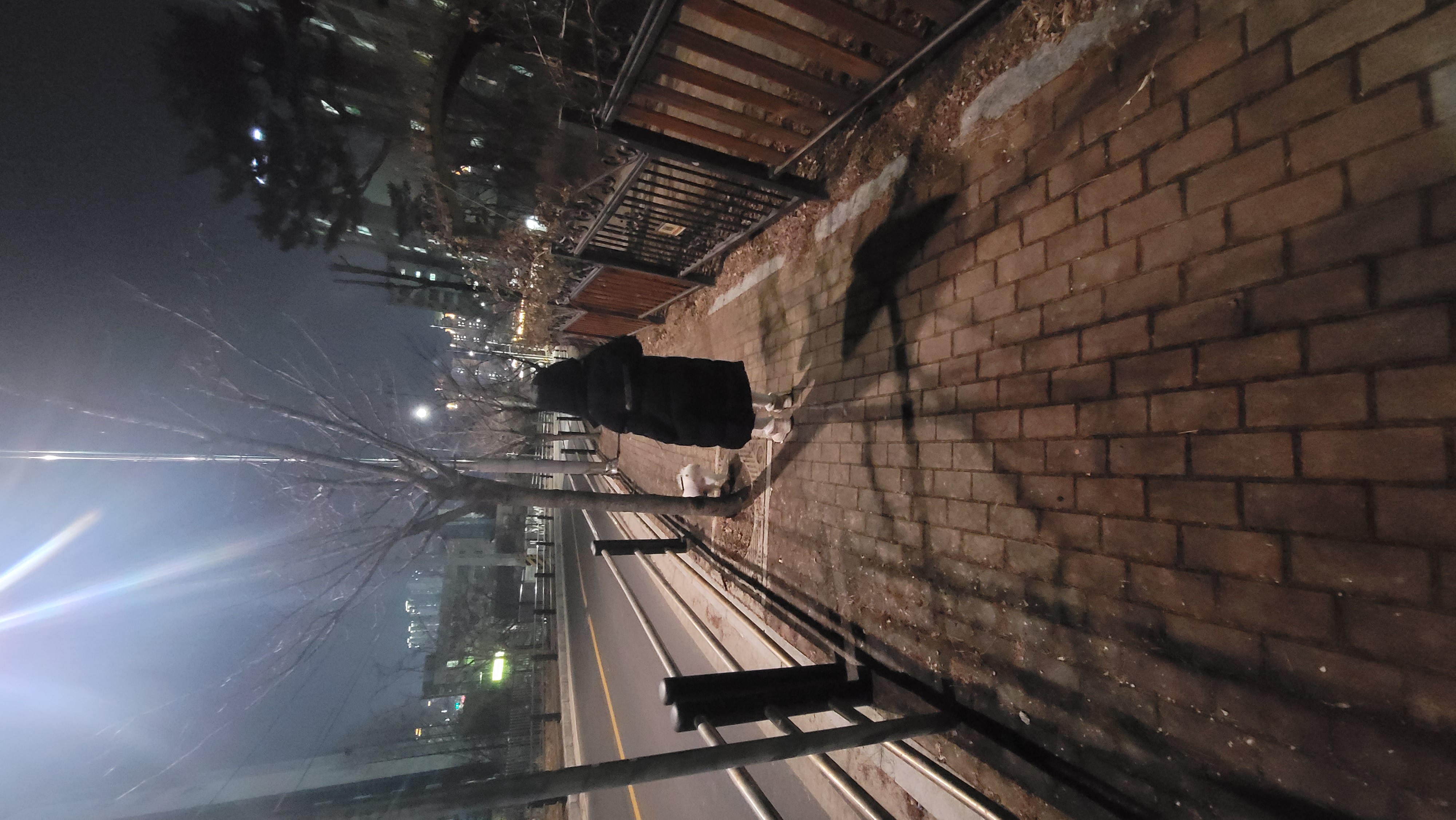 율무(시루) 한달차