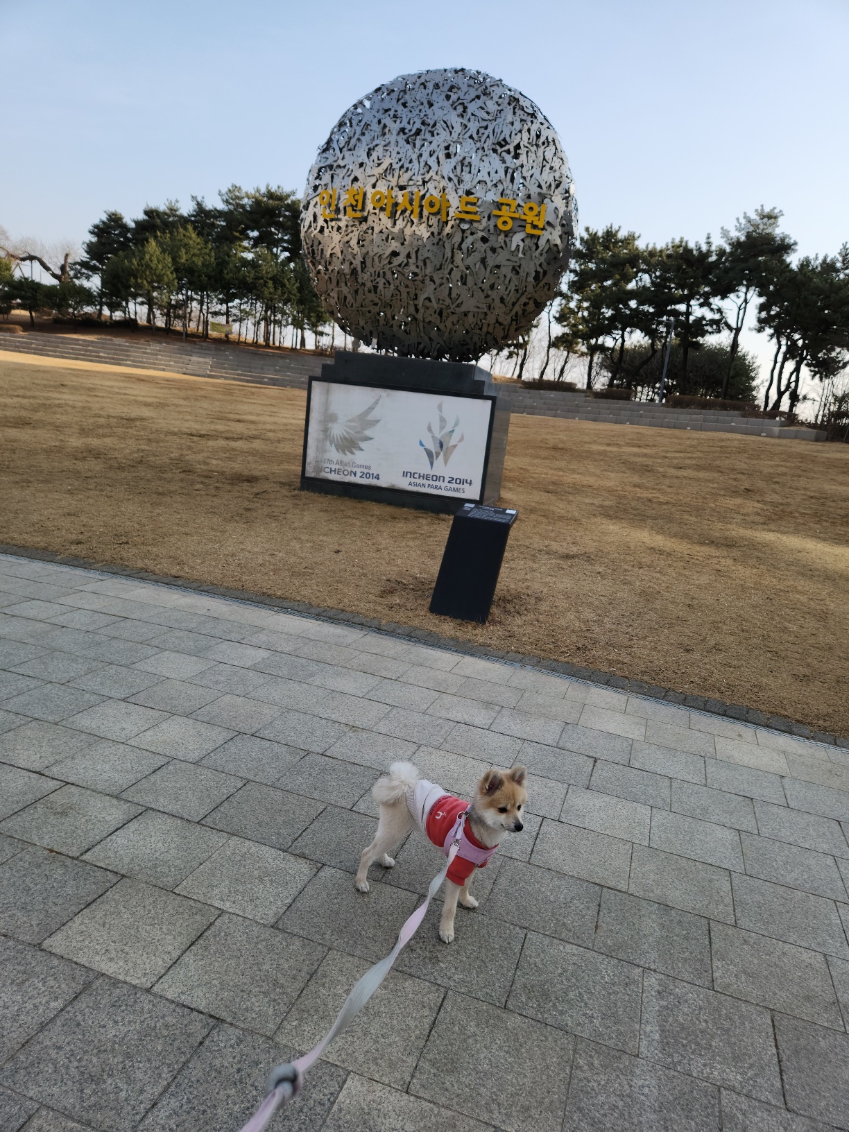 복실이 (곤지암106/그이) 미용했어요