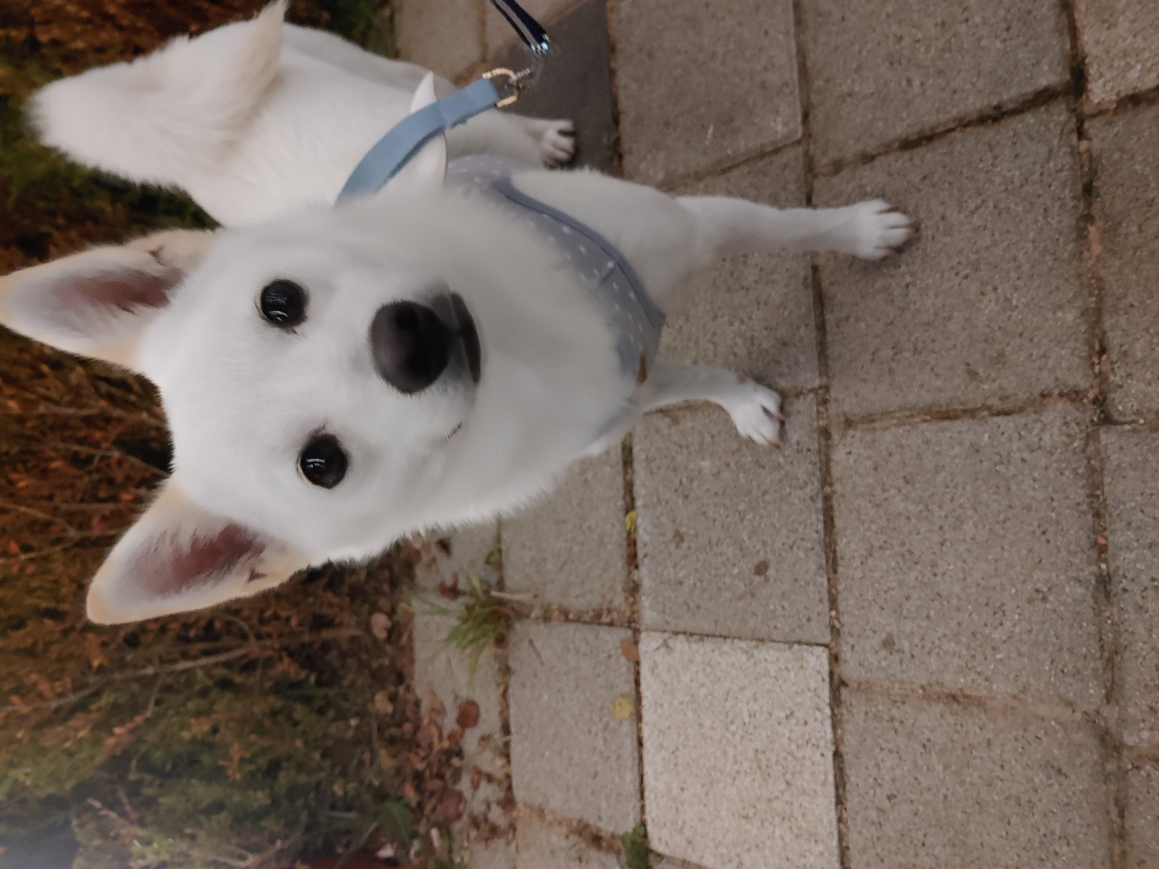 하늘이 2년 근황(구 엘리나)