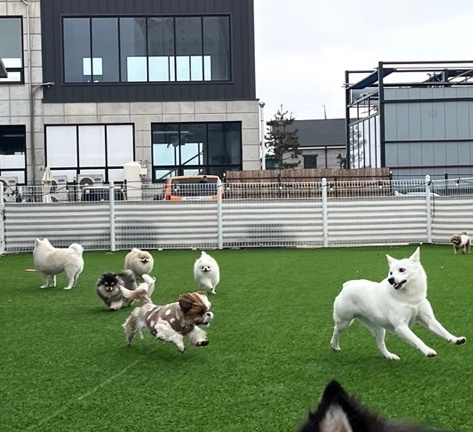 하늘이 2년 근황(구 엘리나)