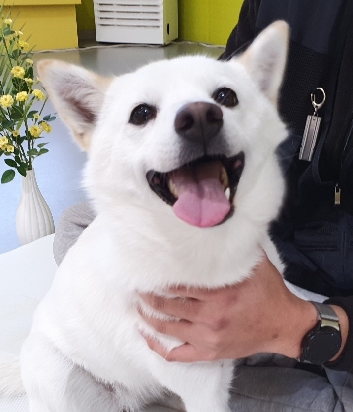 하늘이 2년 근황(구 엘리나)