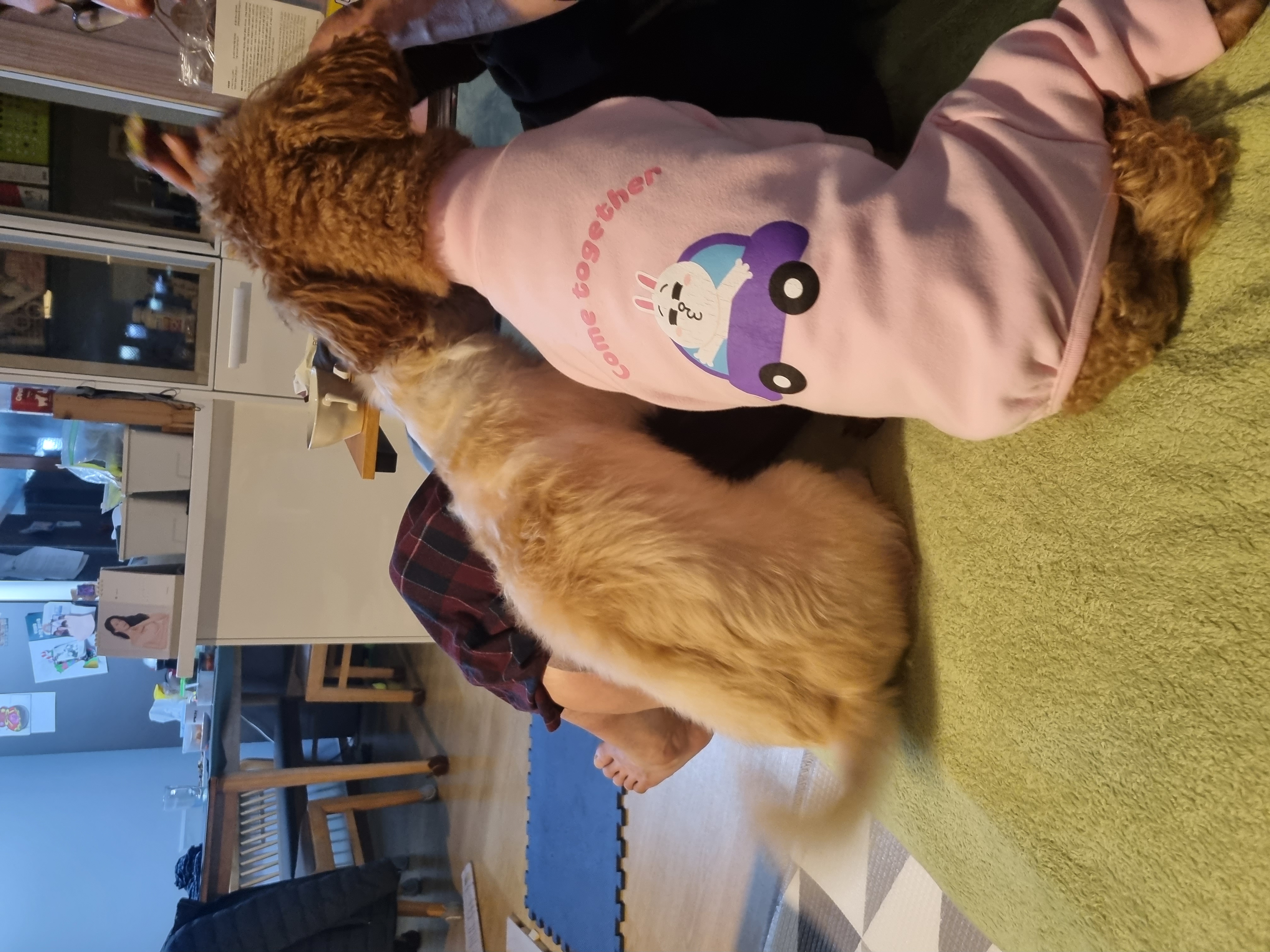 오영이와 쿠키(앙금)