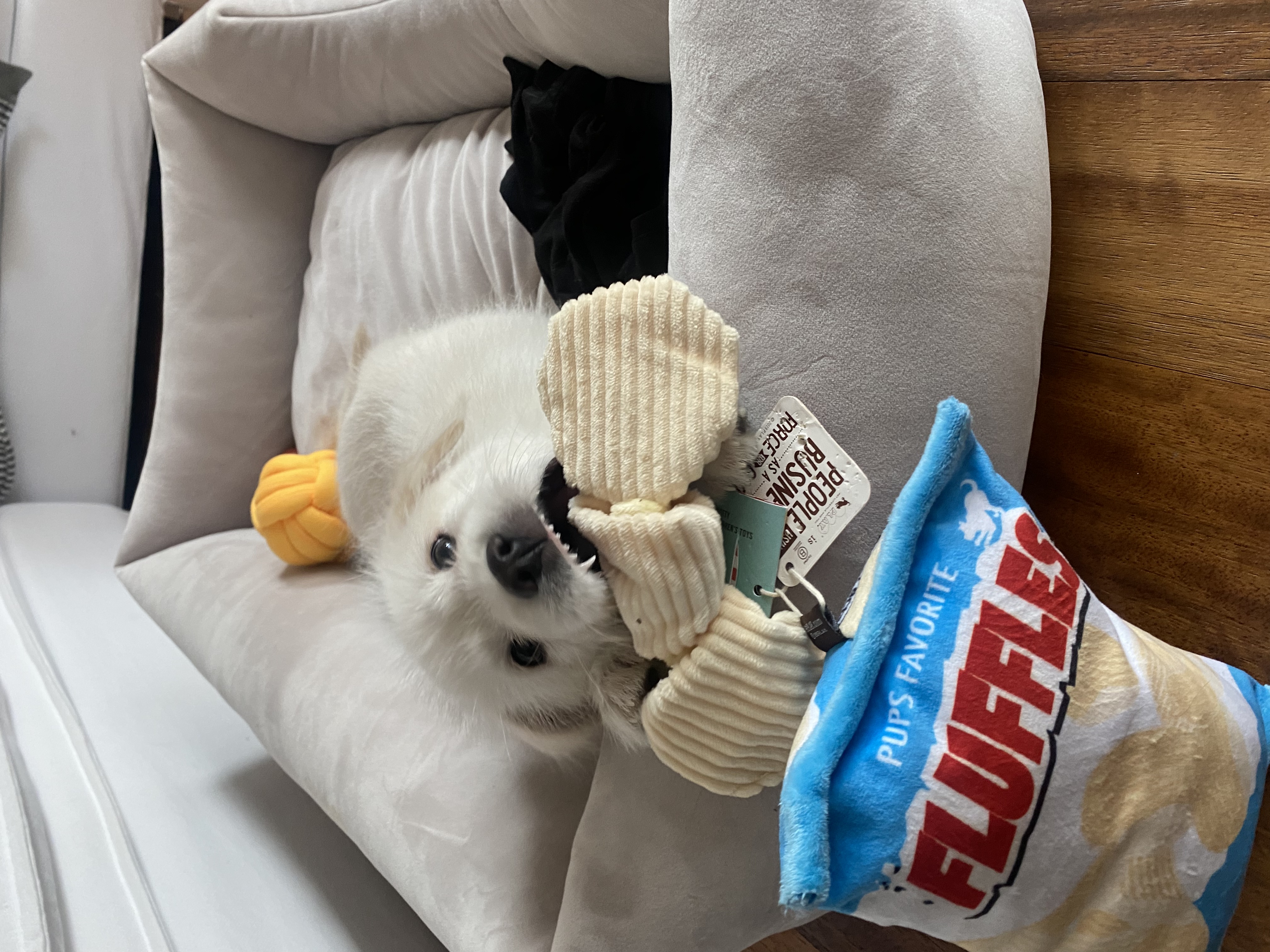 무쵸한테 무쵸볼래