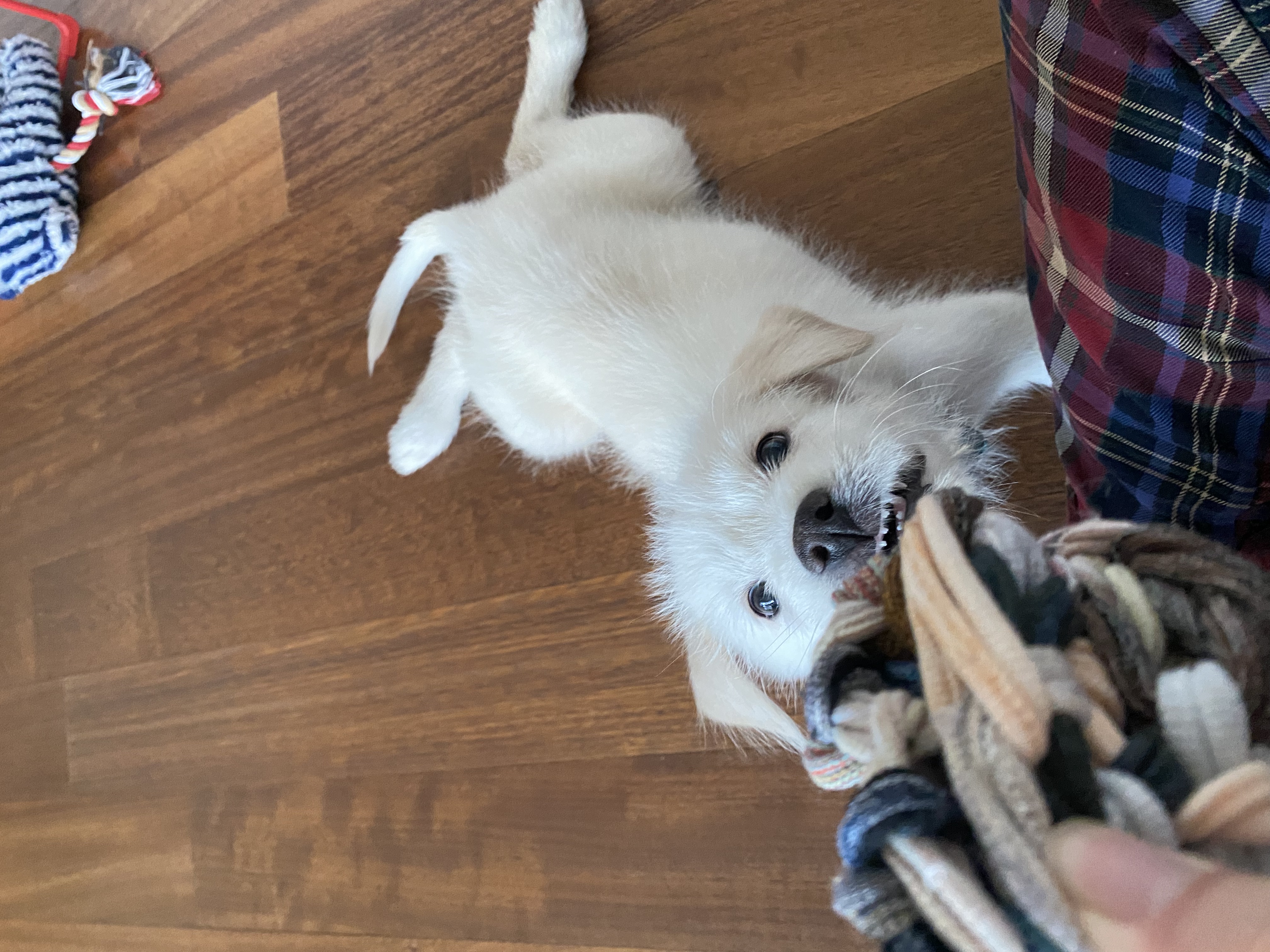 무쵸한테 무쵸볼래