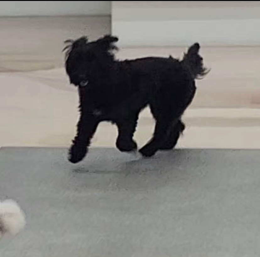 댄과 함께한 1년 :)