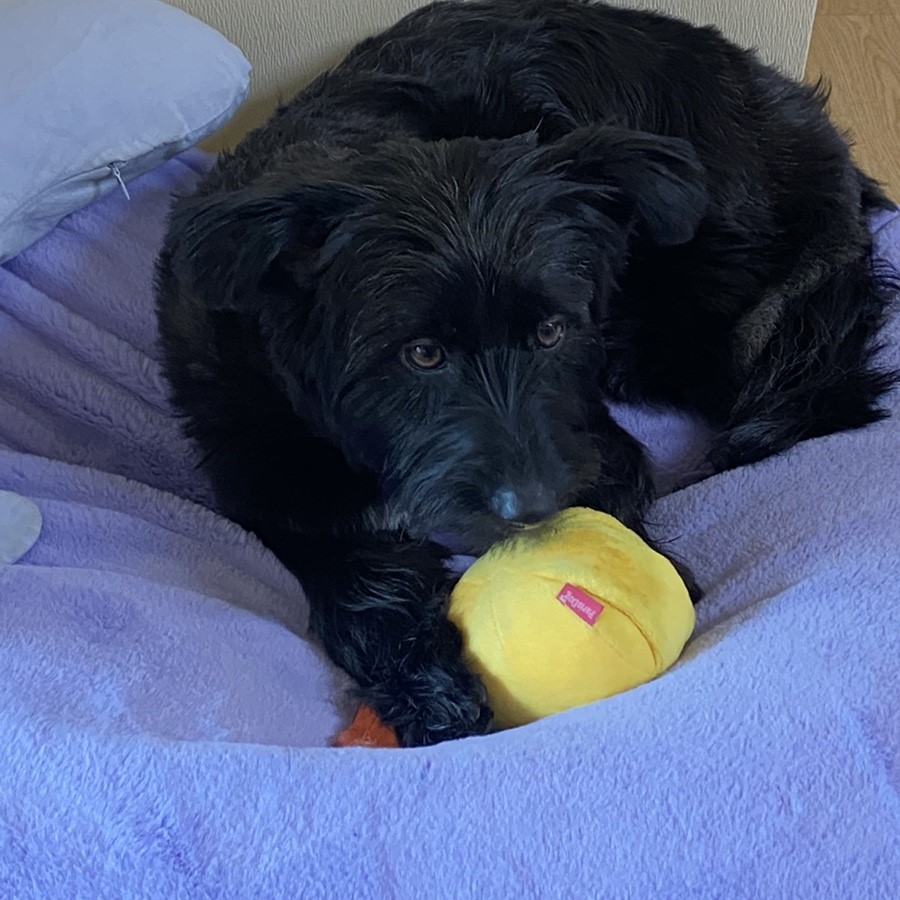 댄과 함께한 1년 :)