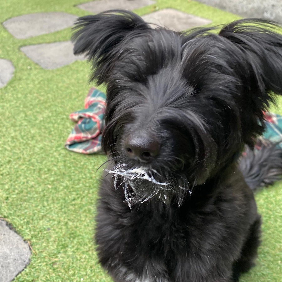 댄과 함께한 1년 :)